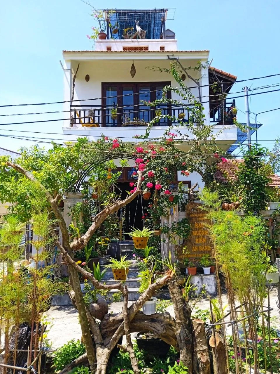 Property building in AnBang Morning Glory Beach Homestay 호이안 안방비치 숙소호텔