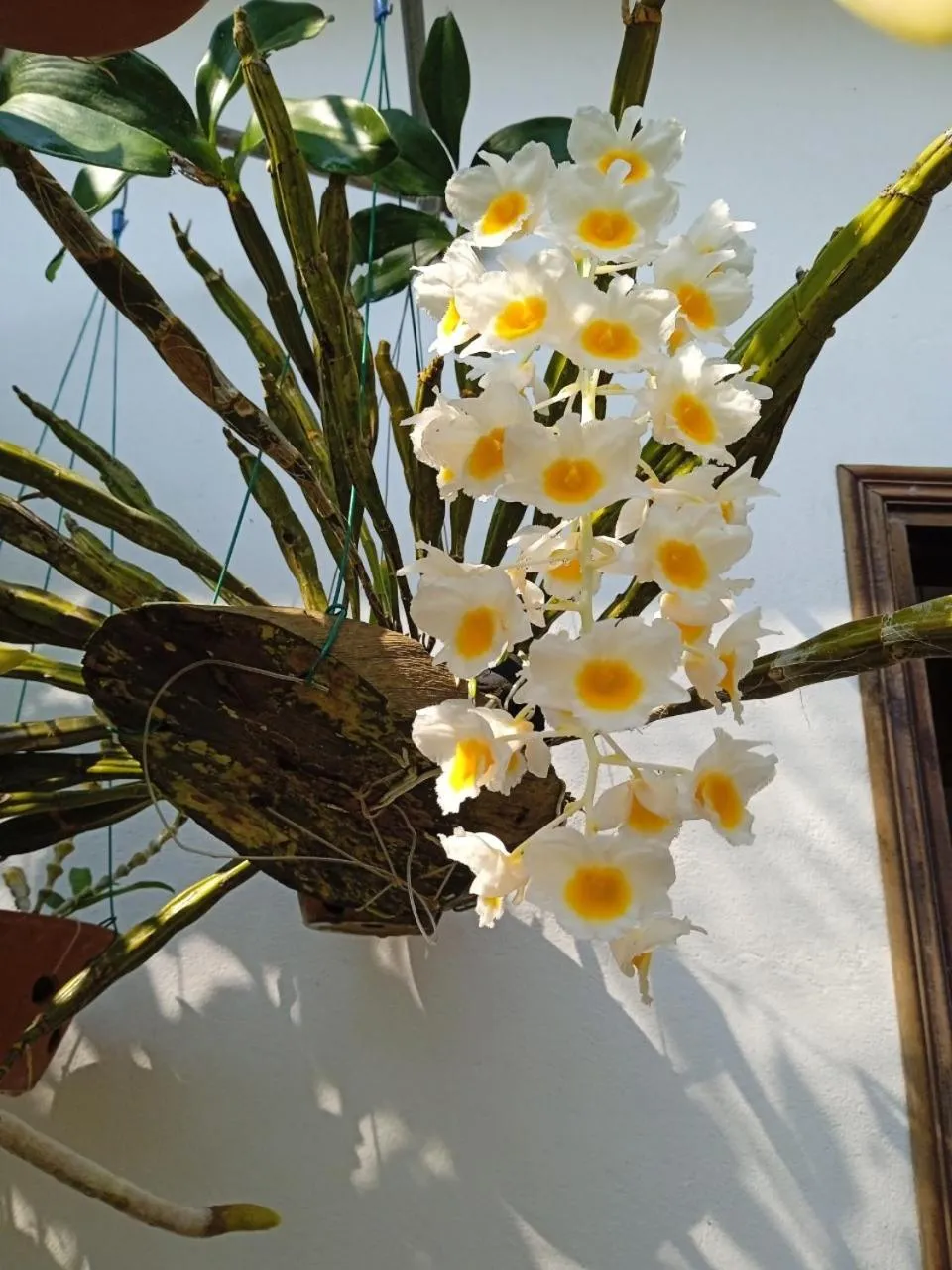 Property building in AnBang Morning Glory Beach Homestay 호이안 안방비치 숙소호텔