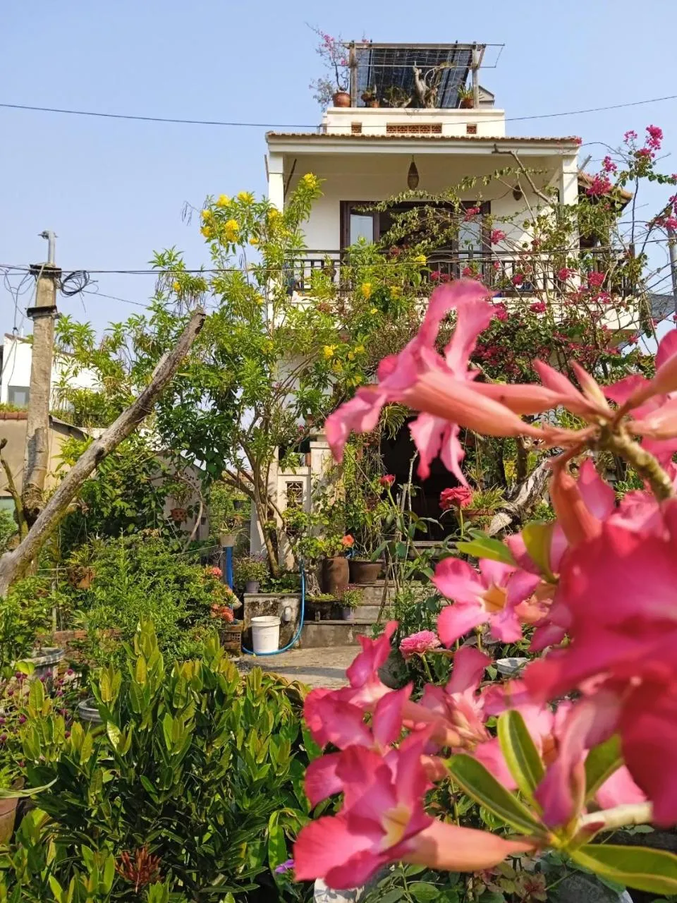 Property building in AnBang Morning Glory Beach Homestay 호이안 안방비치 숙소호텔