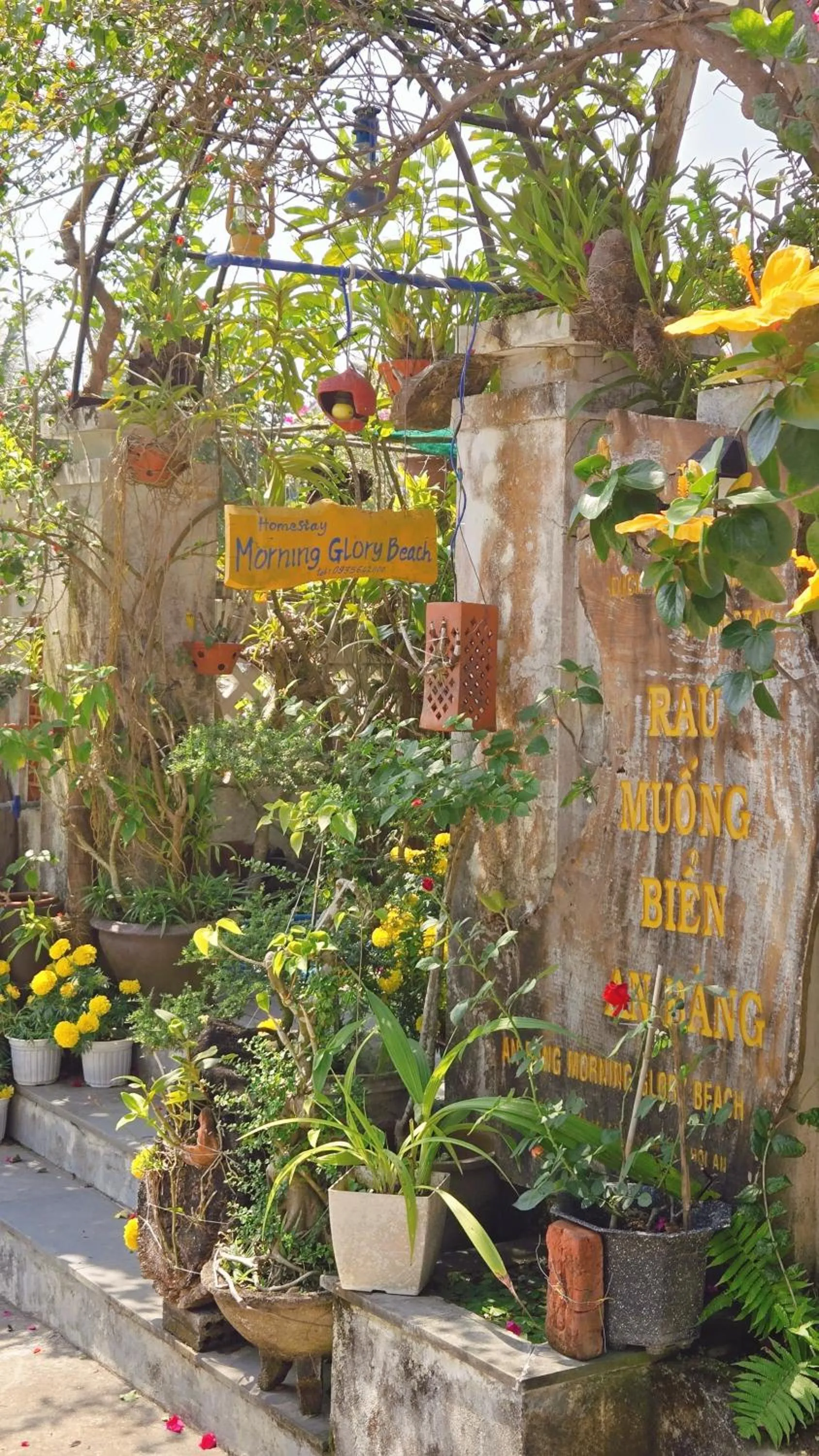 Property logo or sign in AnBang Morning Glory Beach Homestay 호이안 안방비치 숙소호텔