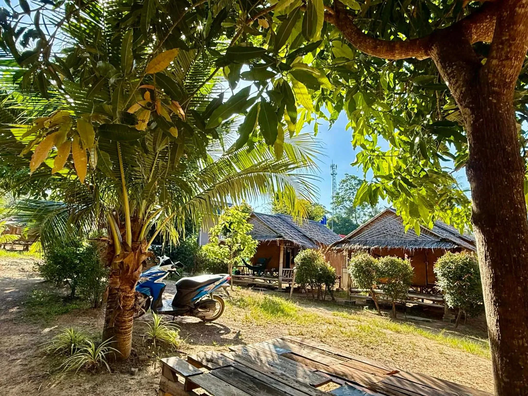 Garden view in Asama Bungalow