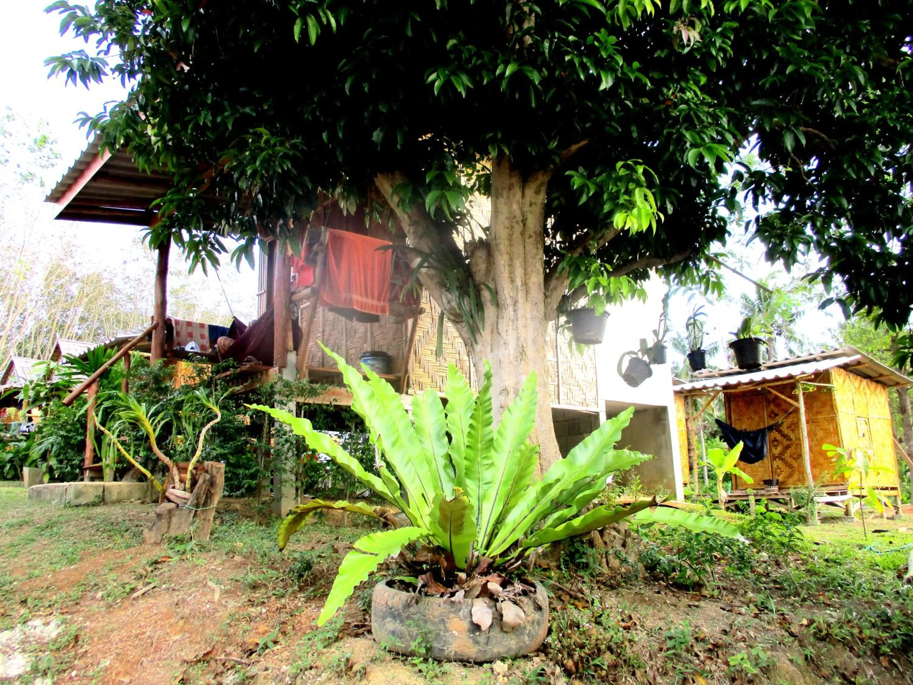 Garden in Asama Bungalow