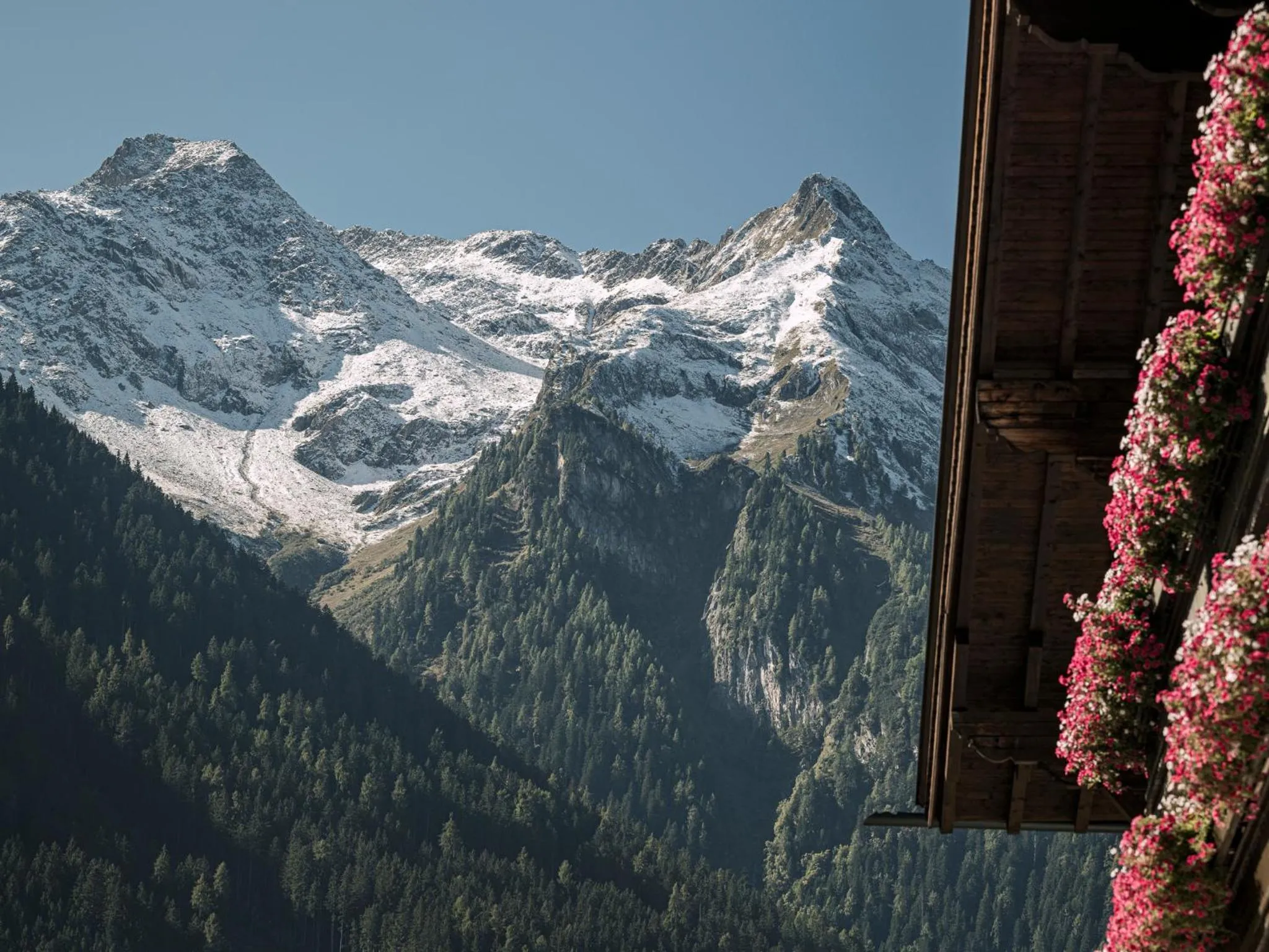 Appartementhaus Sennhüttn