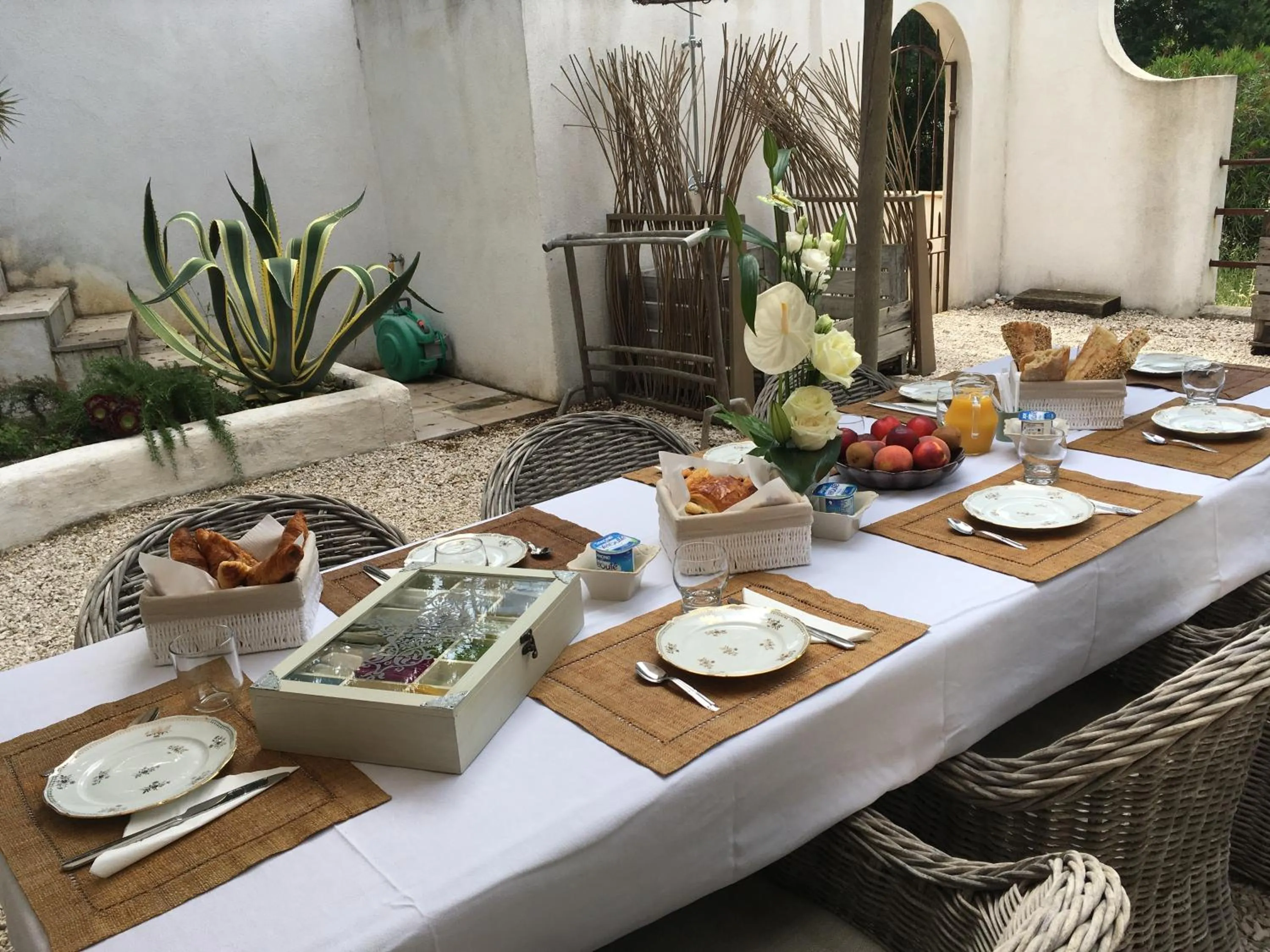 Garden view in Le Clos des Sept Palmiers