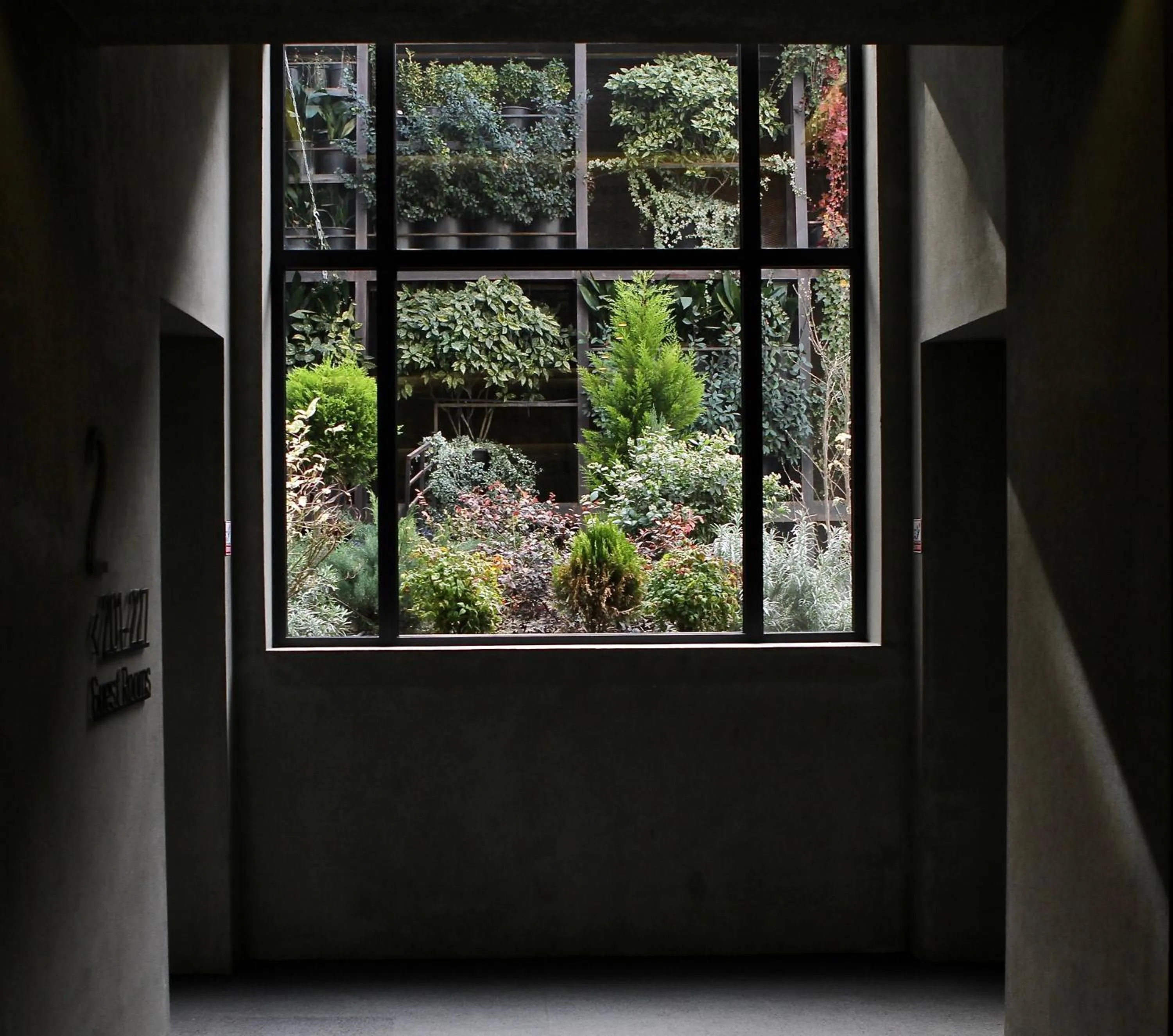 Garden view in IOTA Hotel Tbilisi