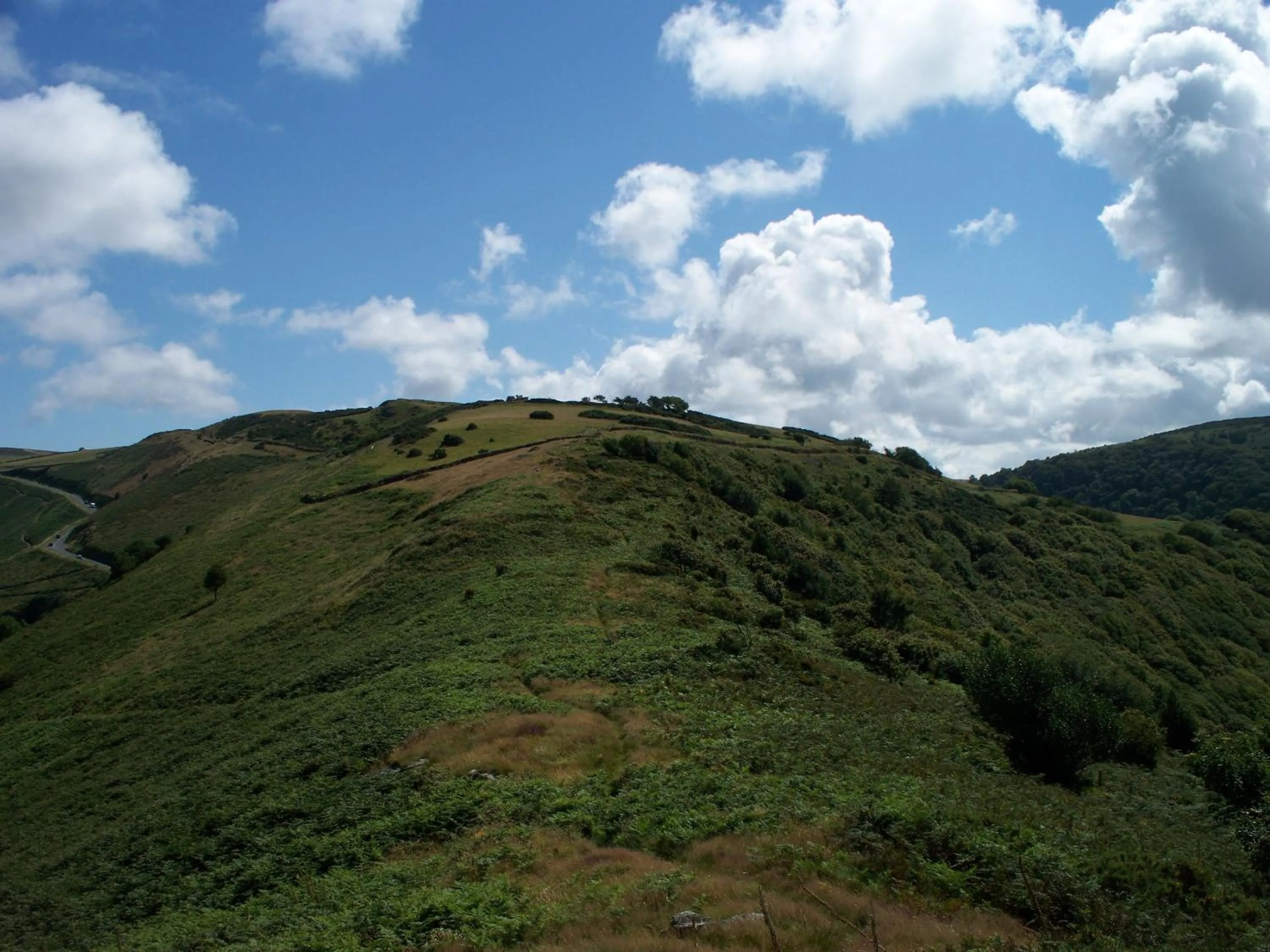 Stoke House Bed and Breakfast