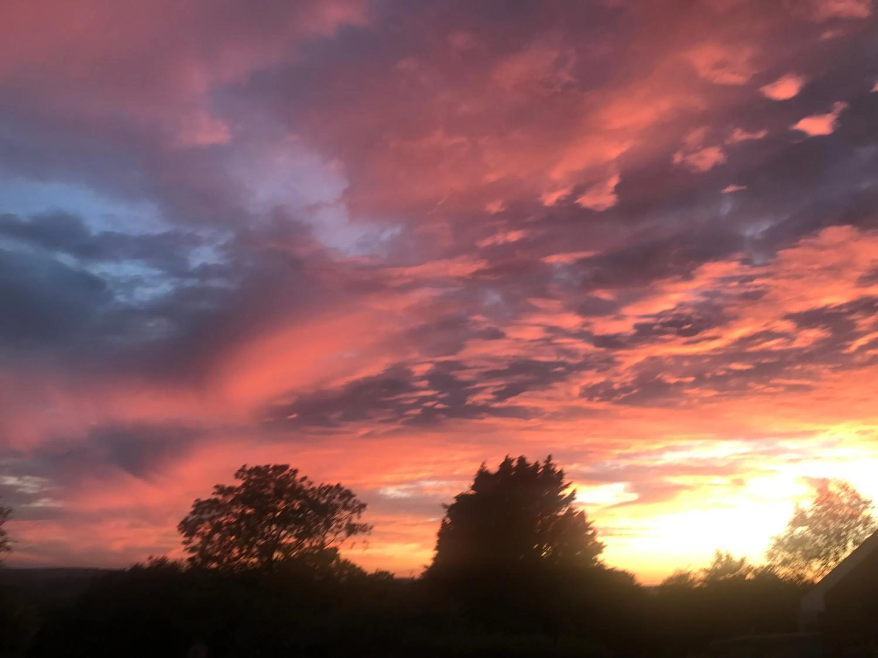 Stoke House Bed and Breakfast