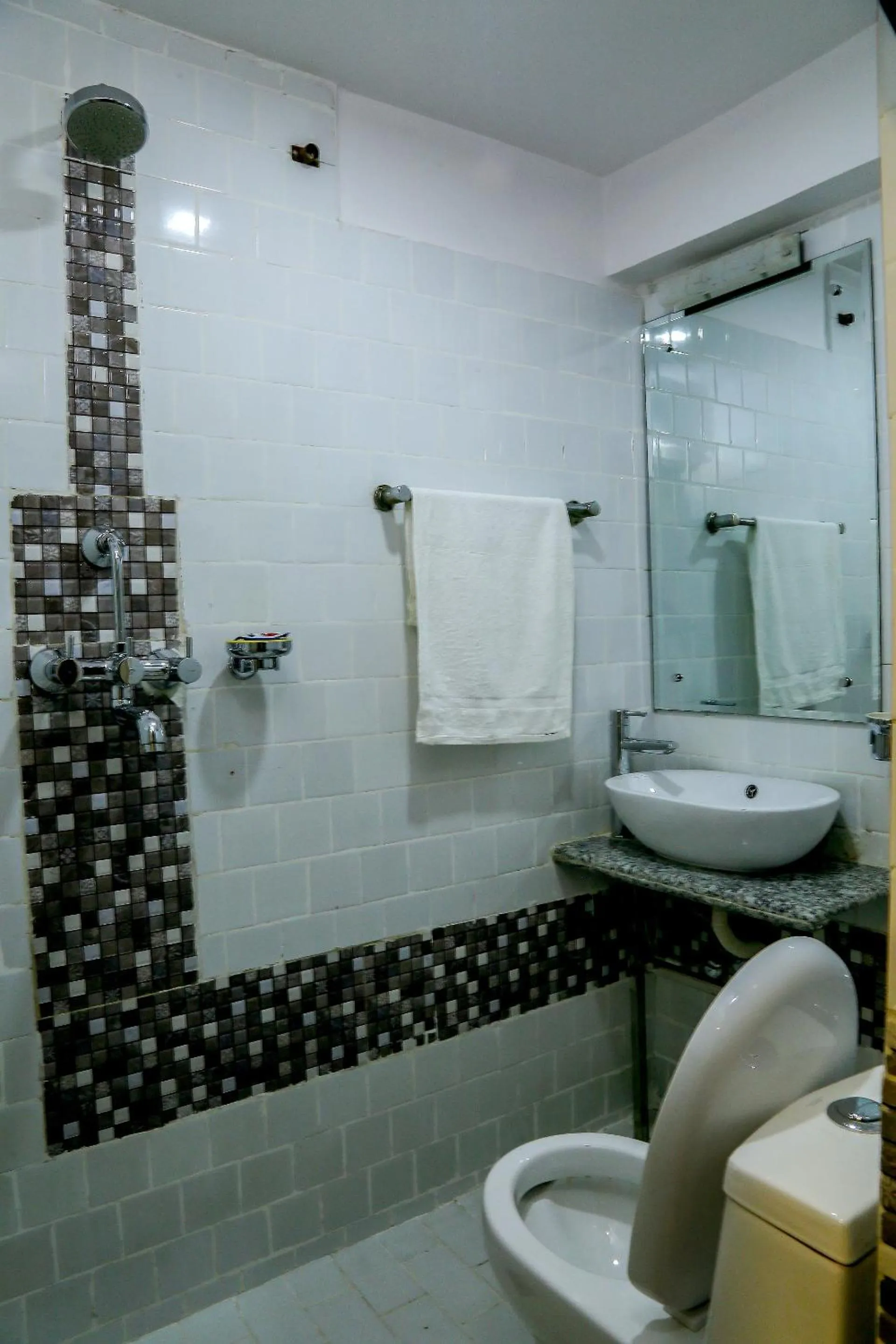 Bathroom in Hotel Himalayan Oasis