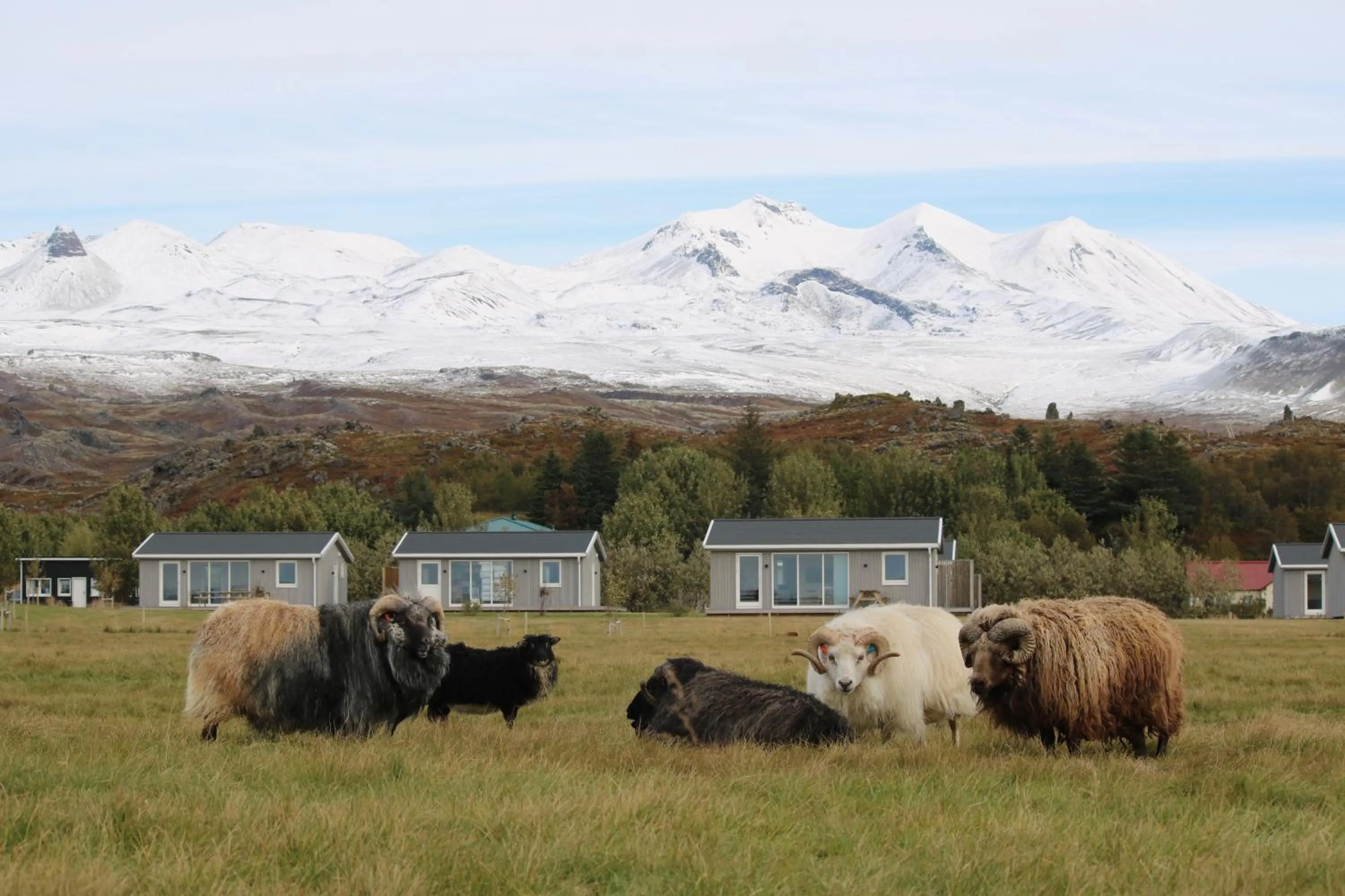 Mountain view in Miðhraun - Lava resort & Restaurant