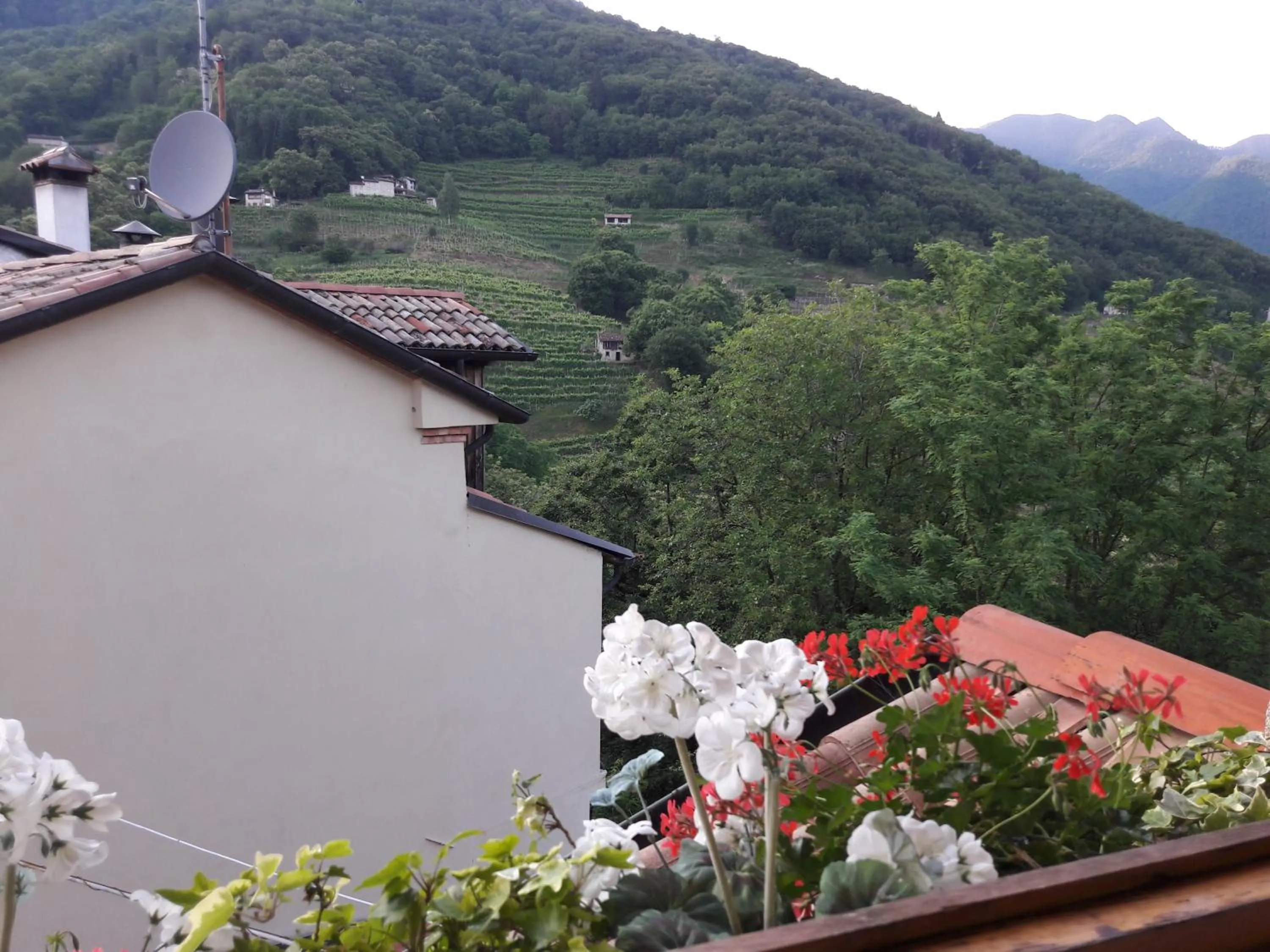 Mountain view in Bed and Breakfast Isabella