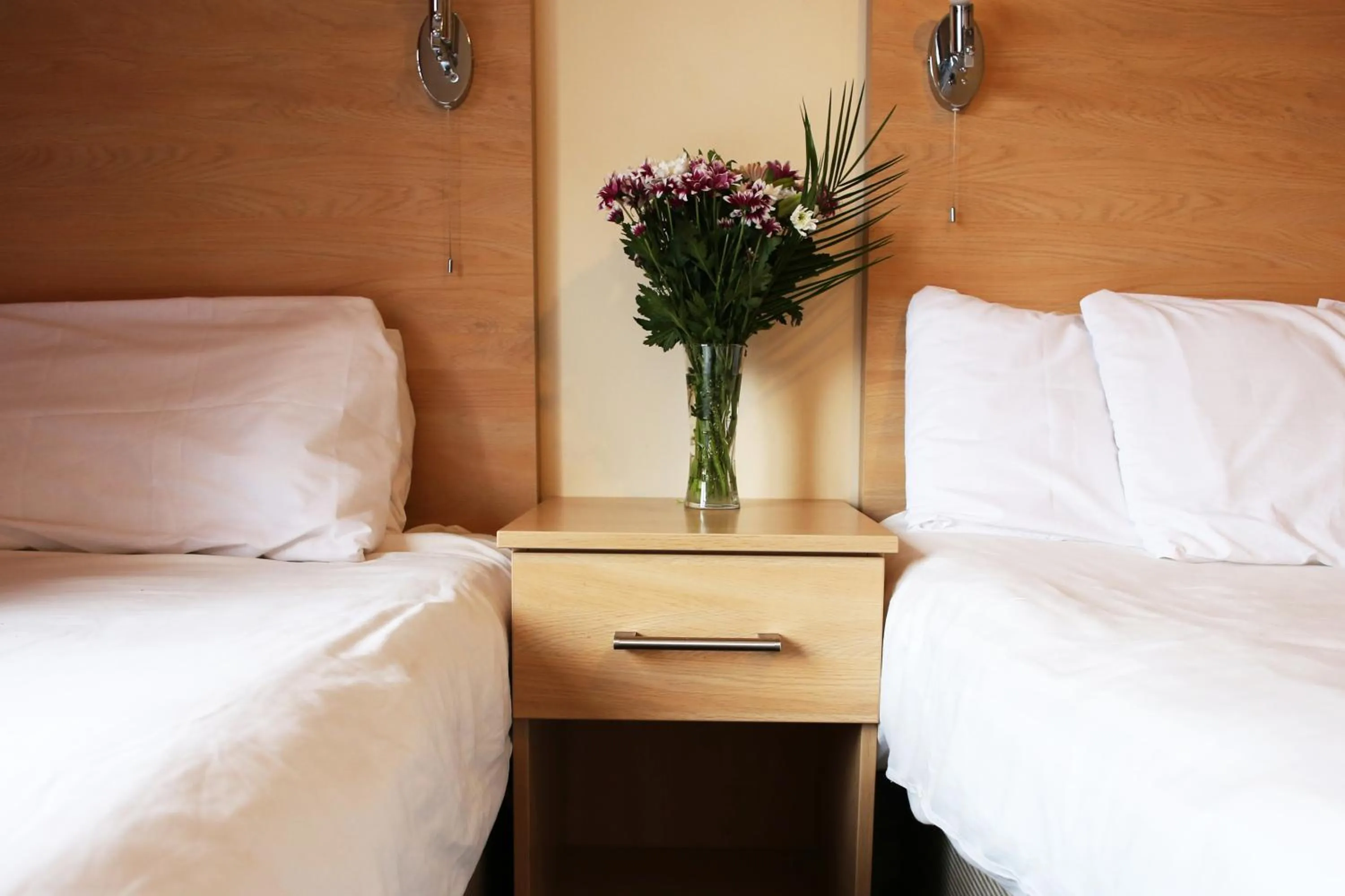 Area and facilities, Bed in City Inn Express Hotel