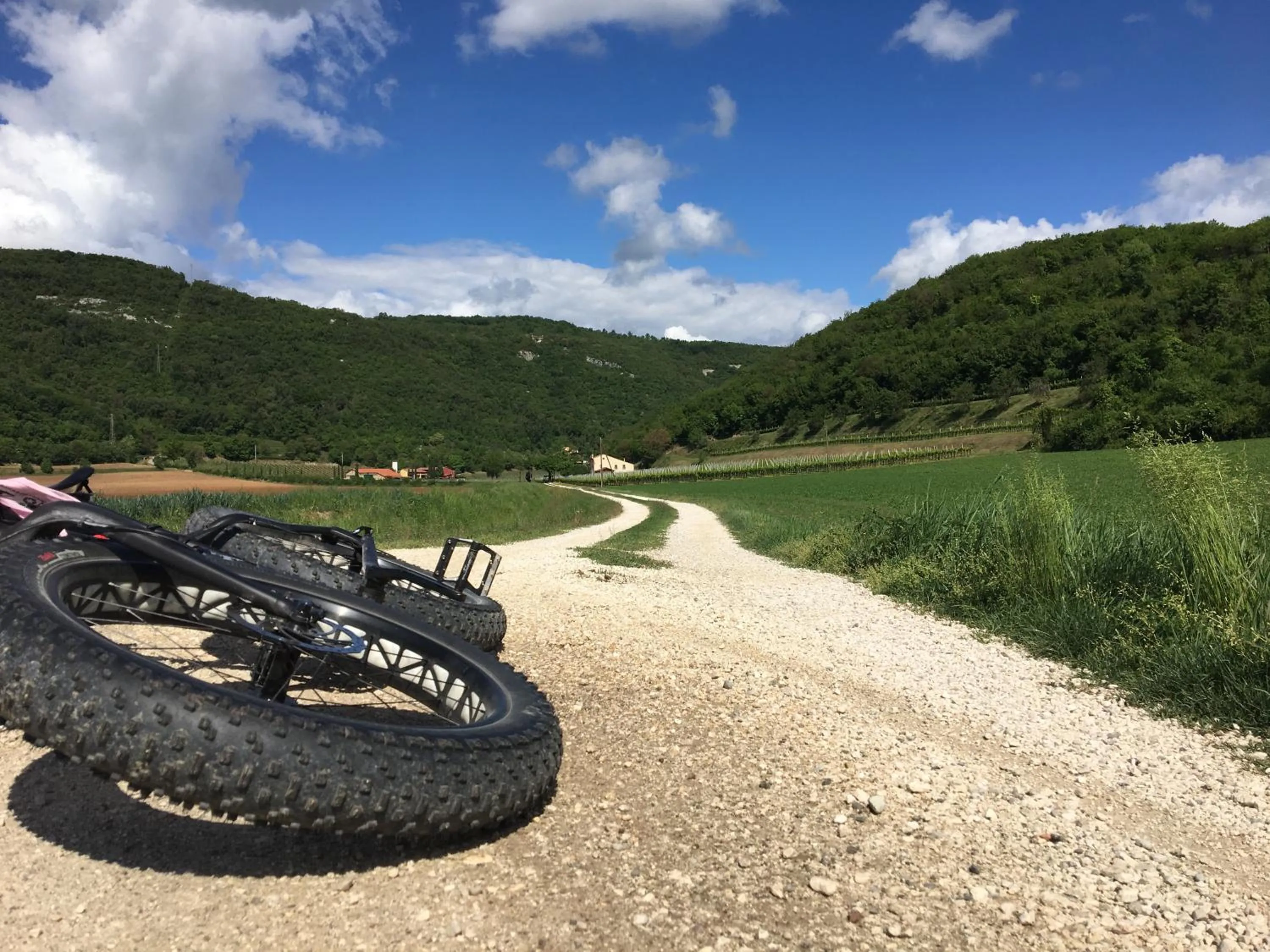 Spring in B&B CASA mia - camere in appartamento privato -