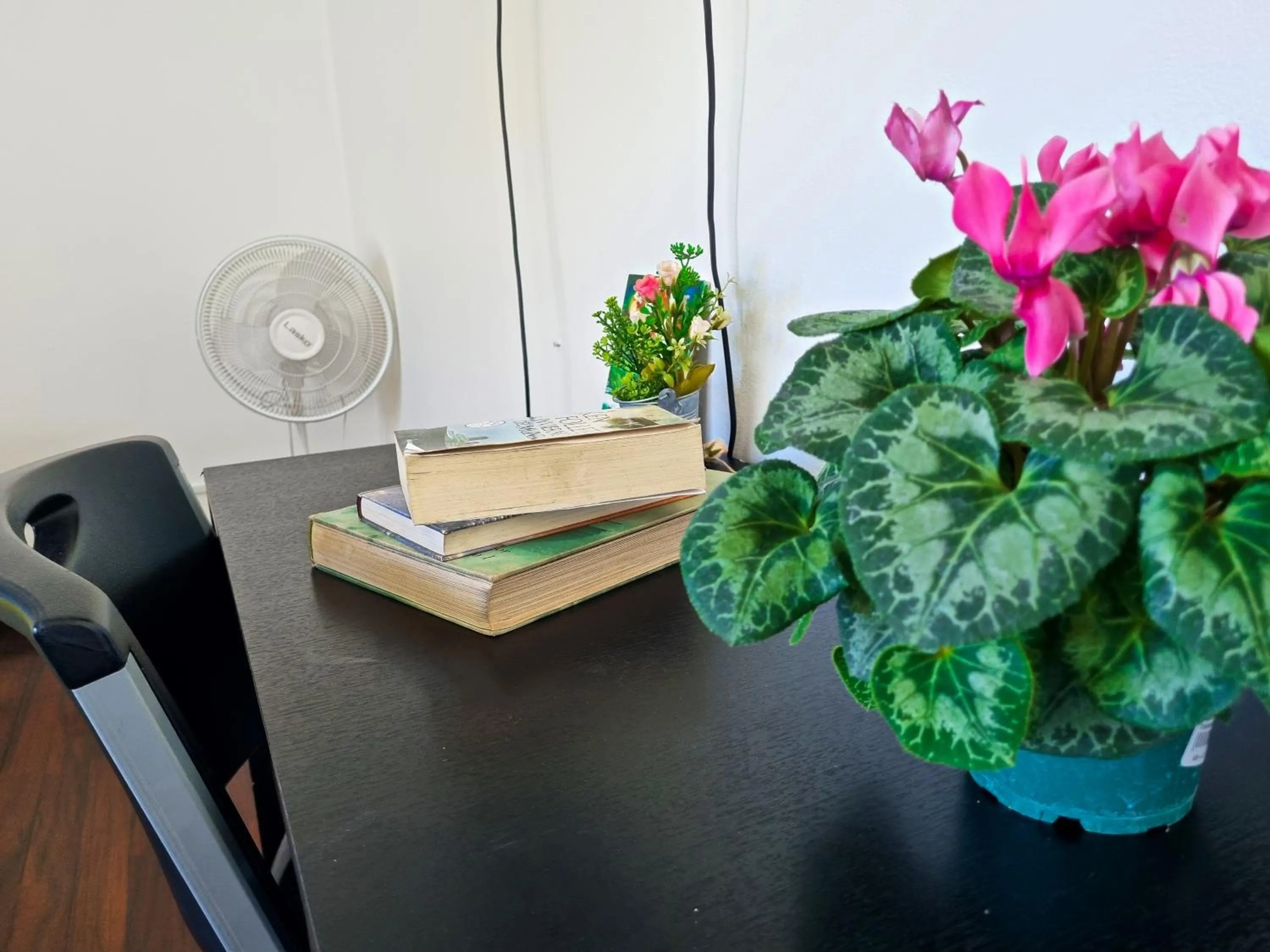 fireplace in Casa Jardin del Mango
