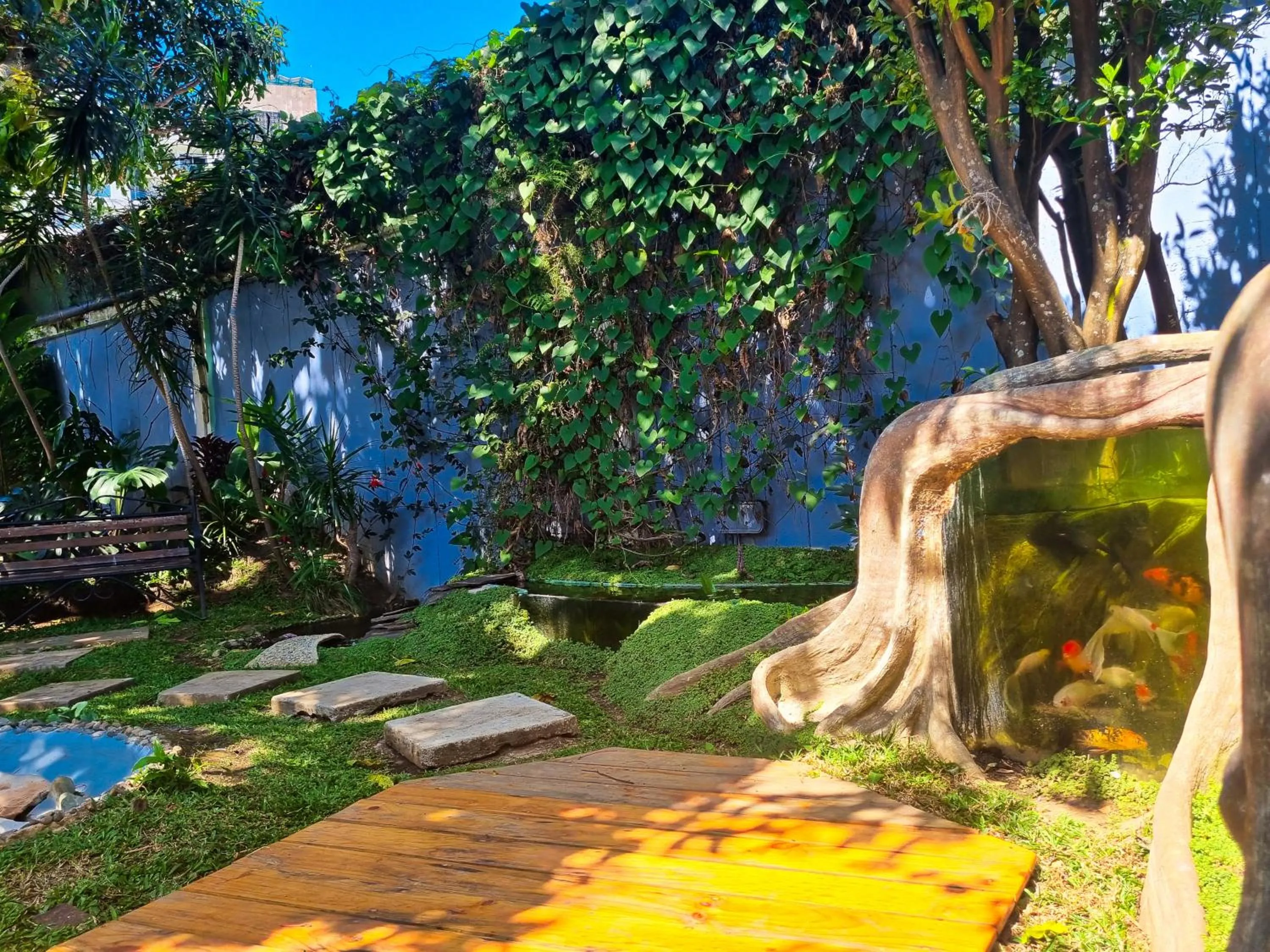 Day in Casa Jardin del Mango