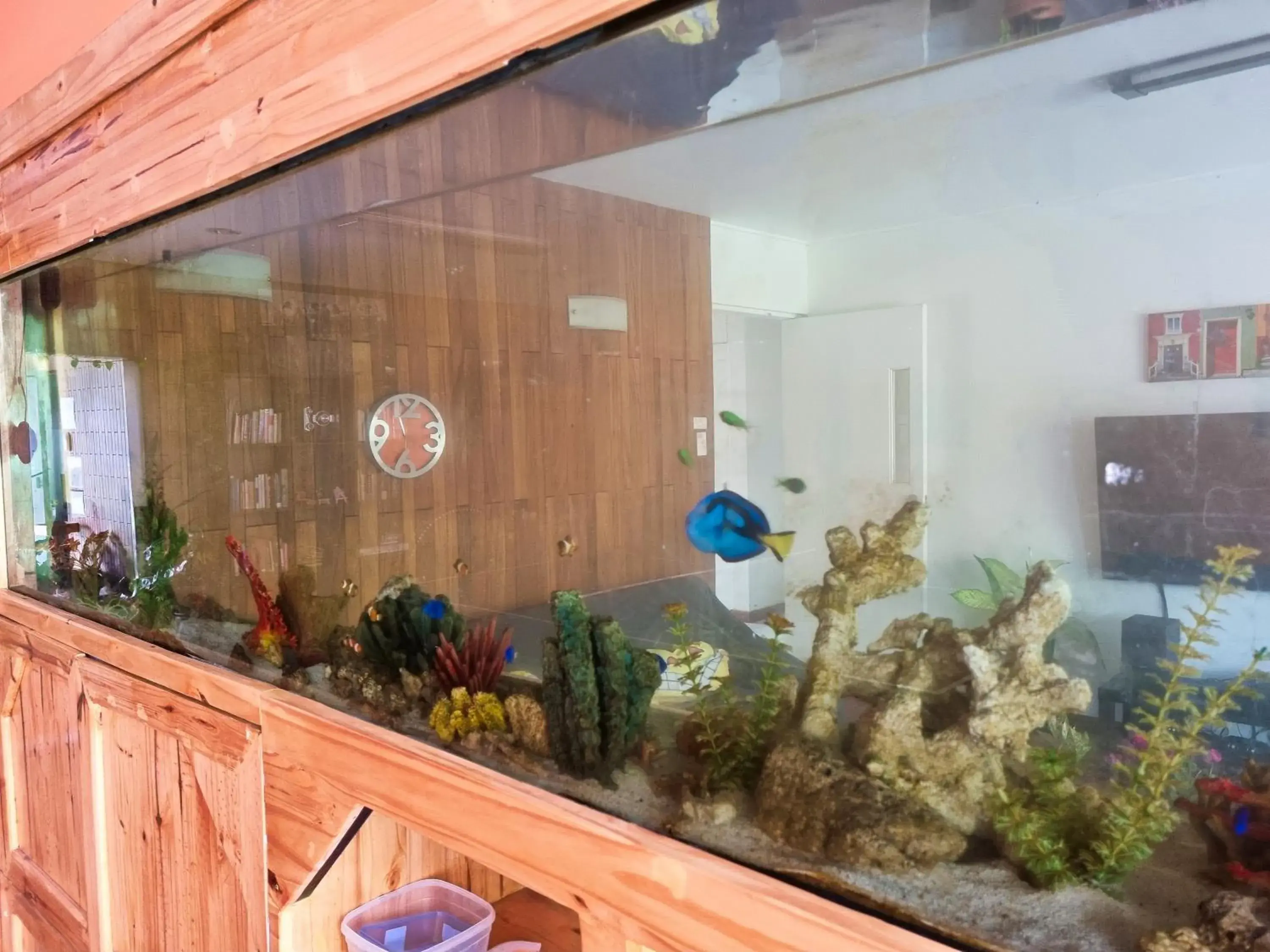 Living room in Casa Jardin del Mango Living room in Casa Jardin del Mango