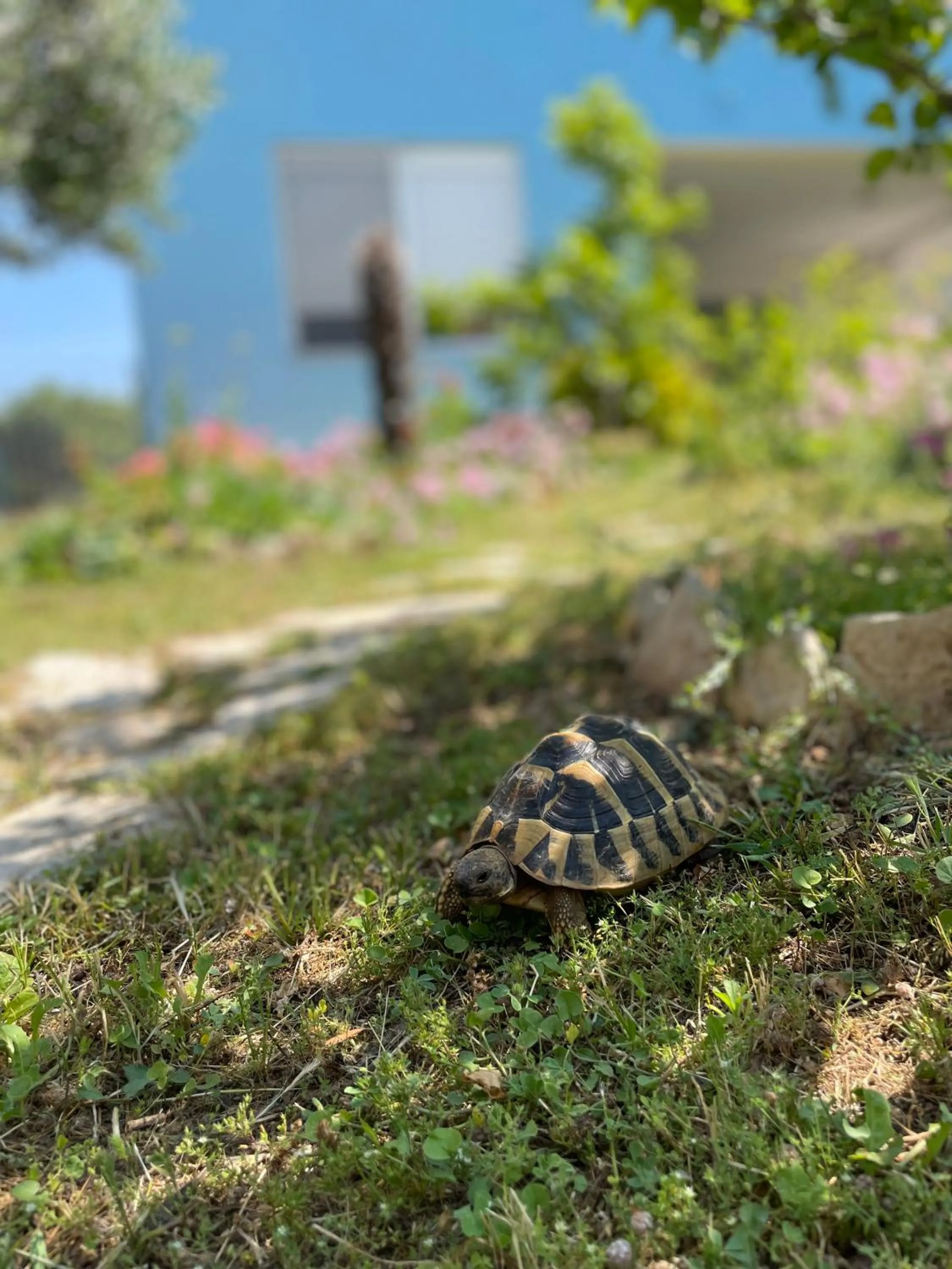 Mare i Kate Apartmani
