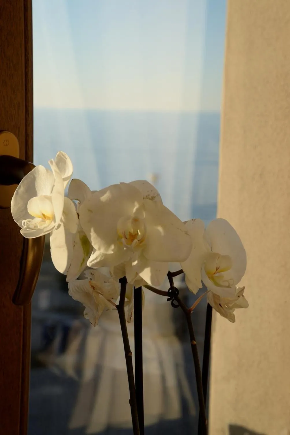 Torre della Loggia - Dimora Storica - Ortona