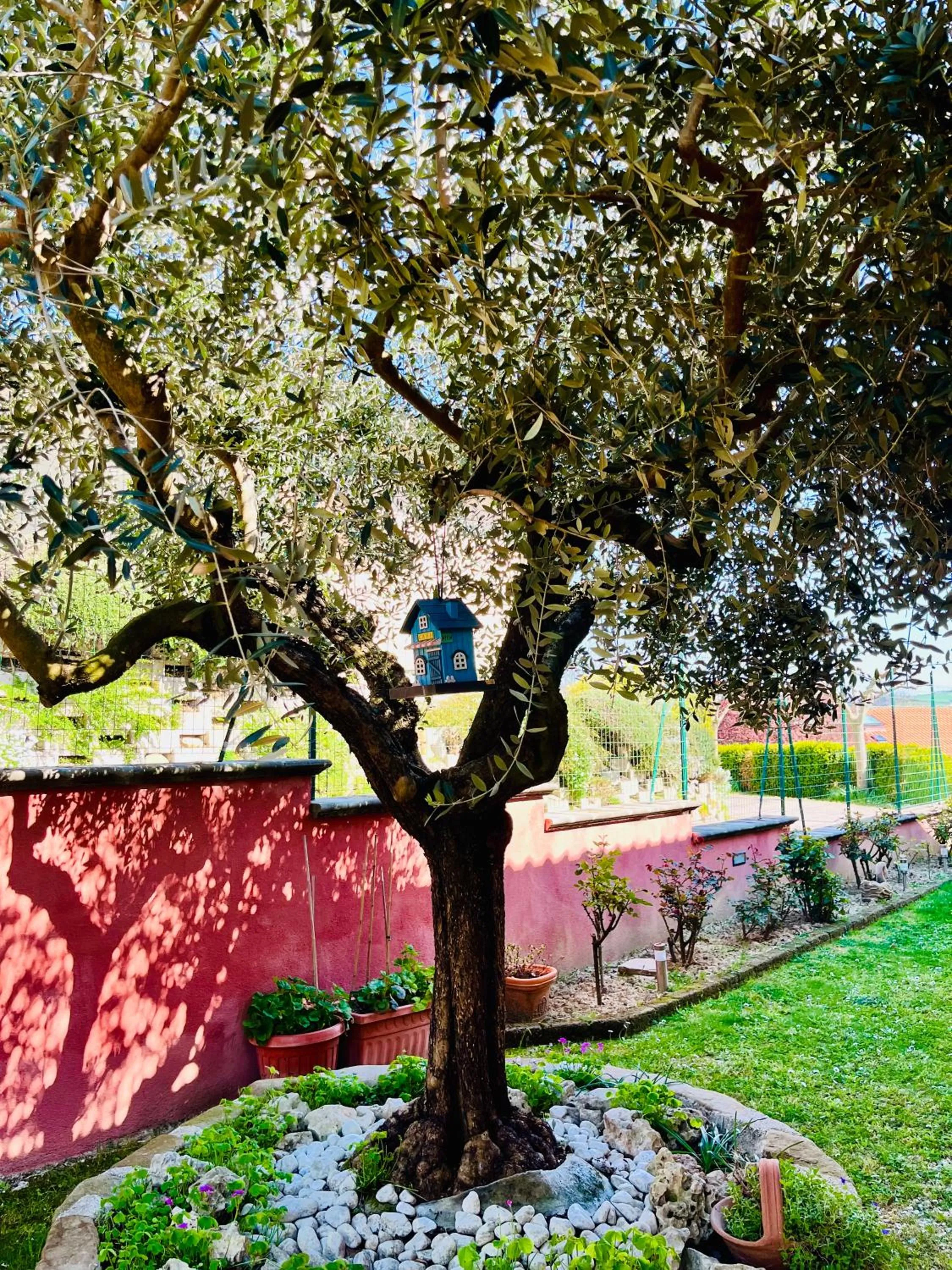 Spring in La Mammola Bed&Breakfast