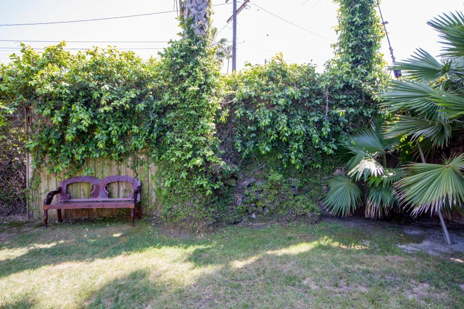 Garden, Property Building in PodShare Venice