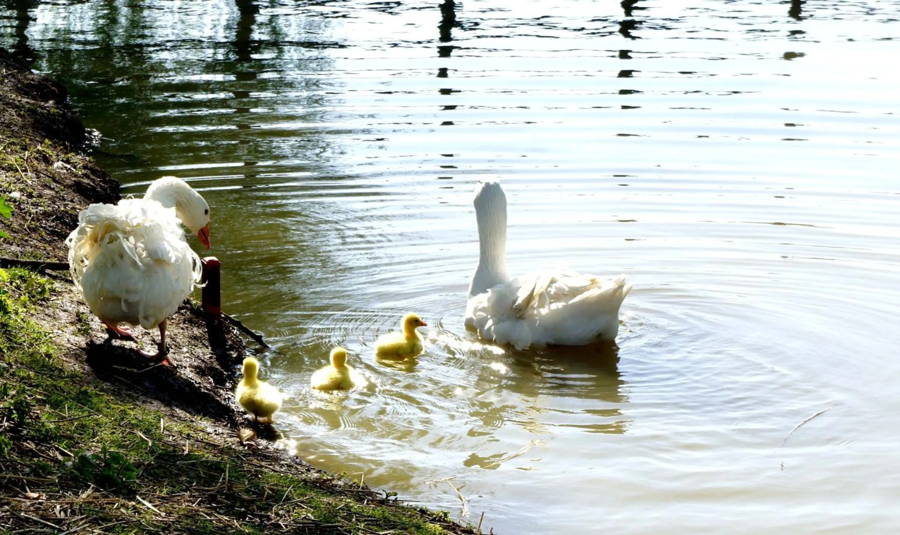 Hotel Les Suites - Domaine de Crécy