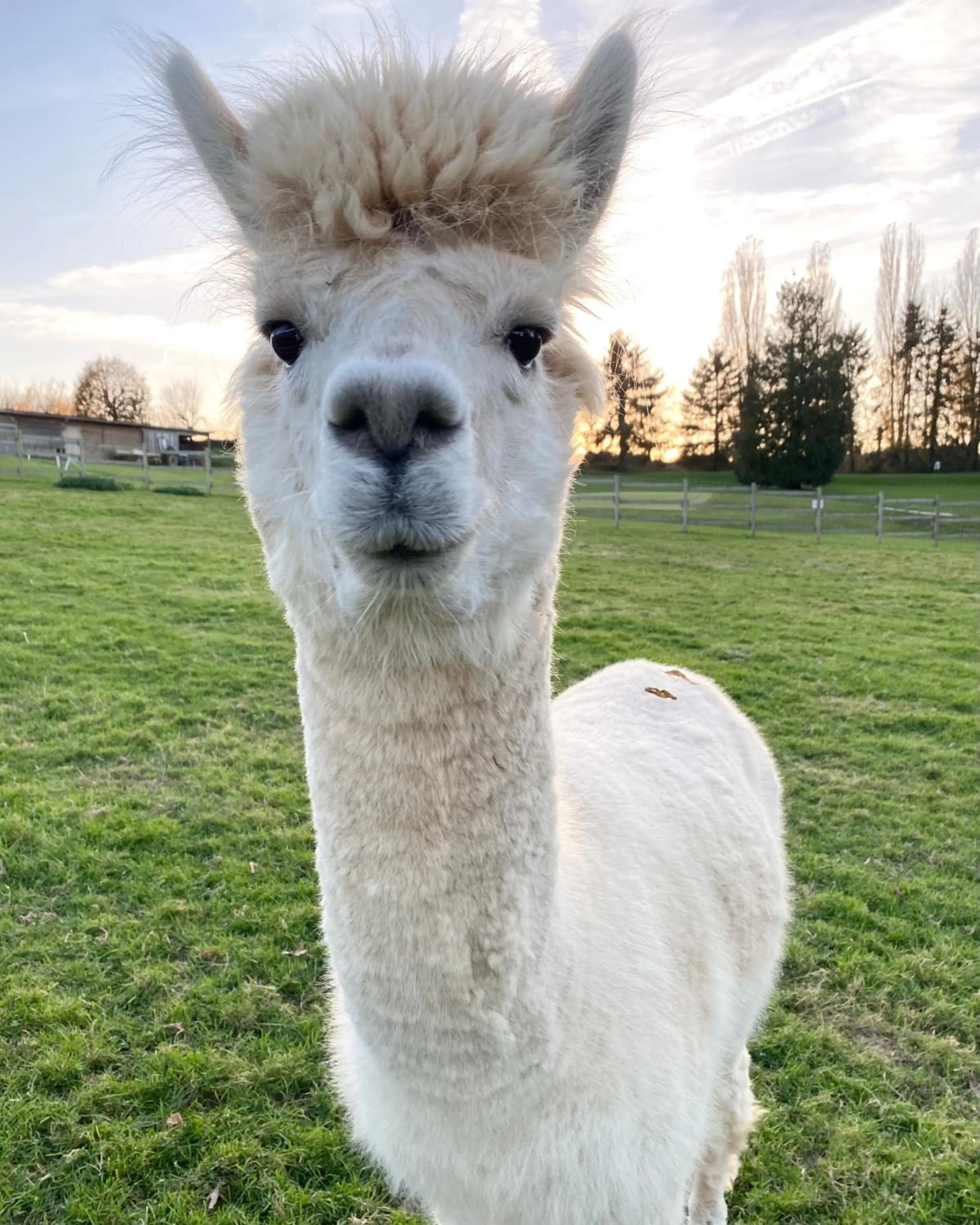Hotel Les Suites - Domaine de Crécy
