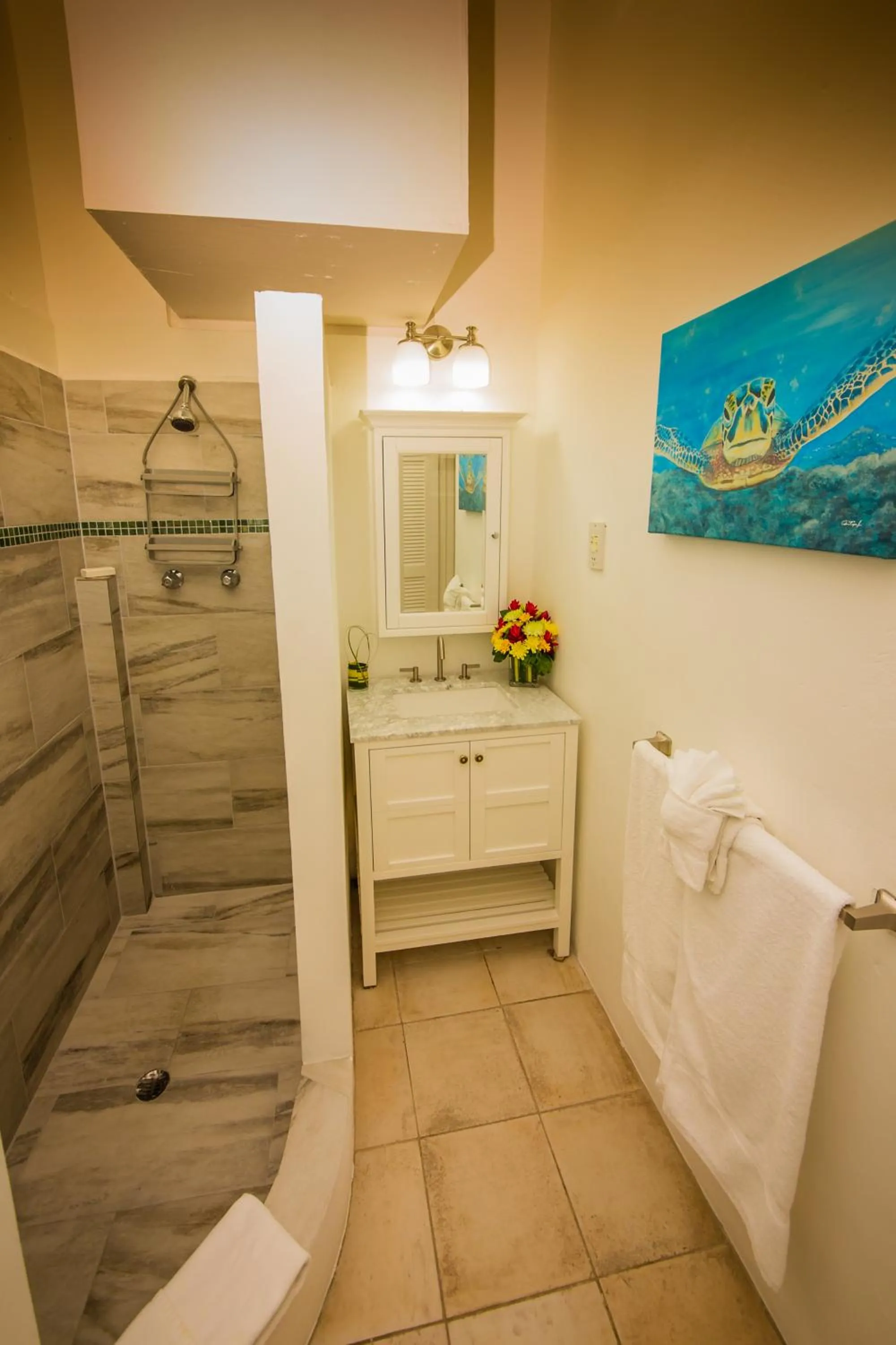 Bathroom in Oasis Marigot