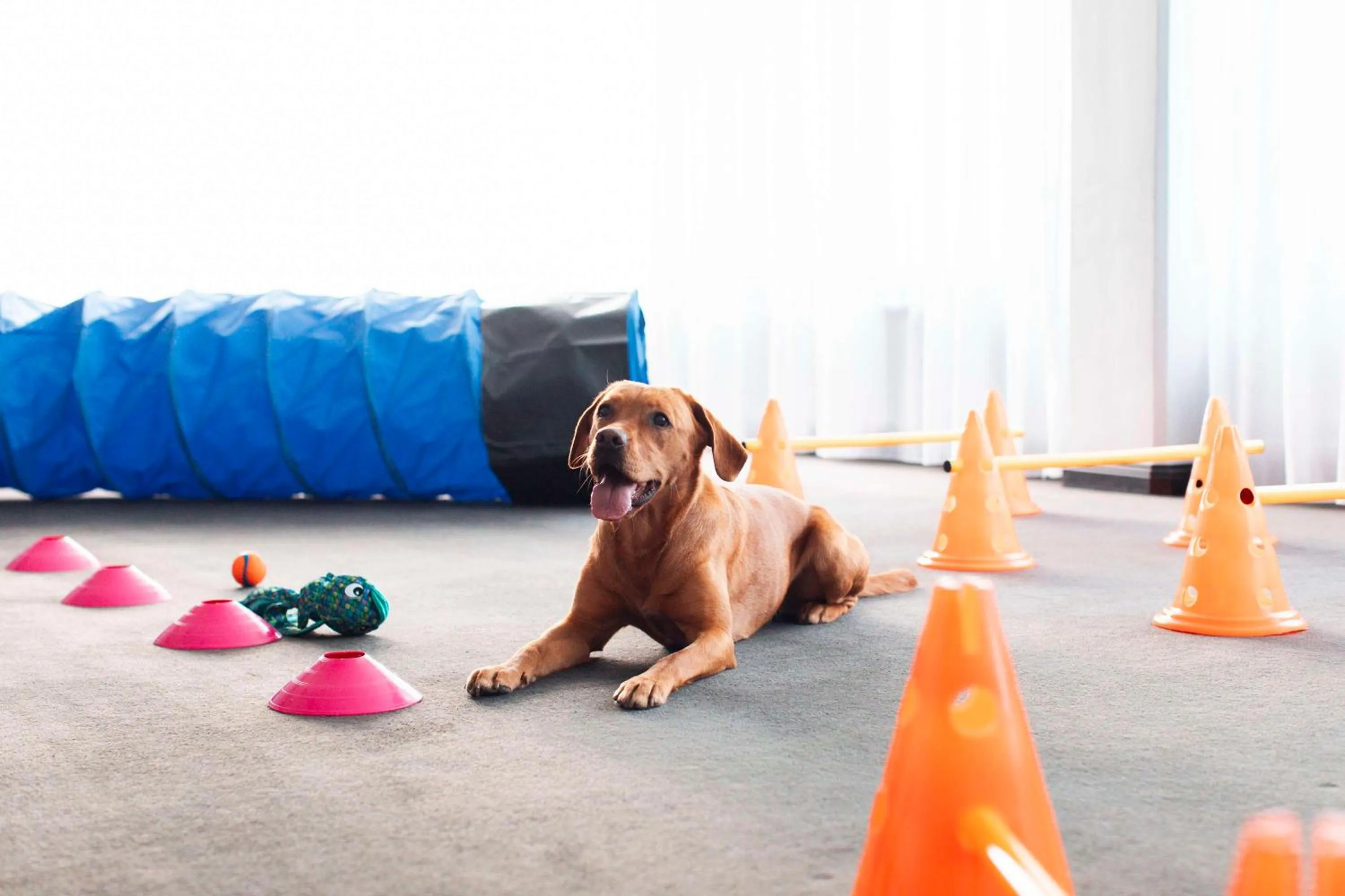 Other in Radisson Blu Arlandia Hotel, Stockholm-Arlanda