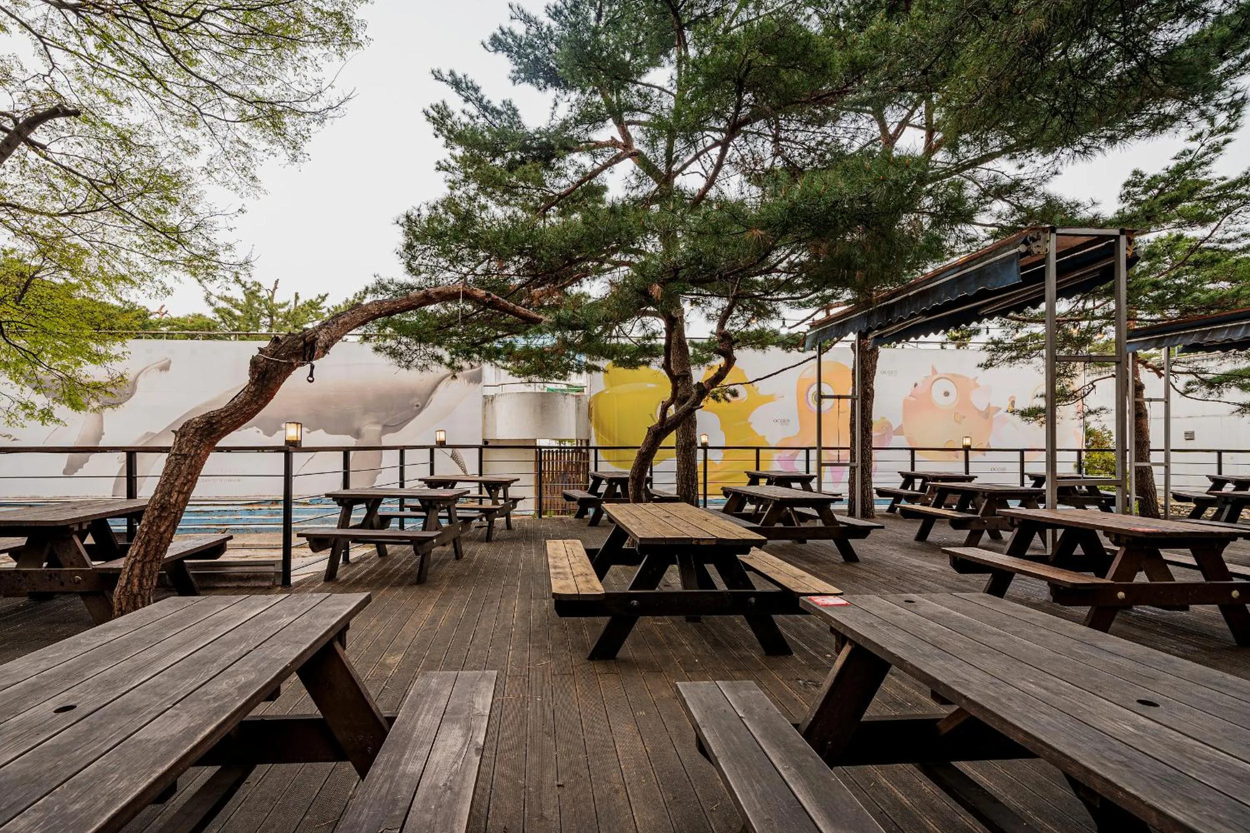 BBQ facilities in Ocean 2 You Resort Seorak Beach Hotel & Condo