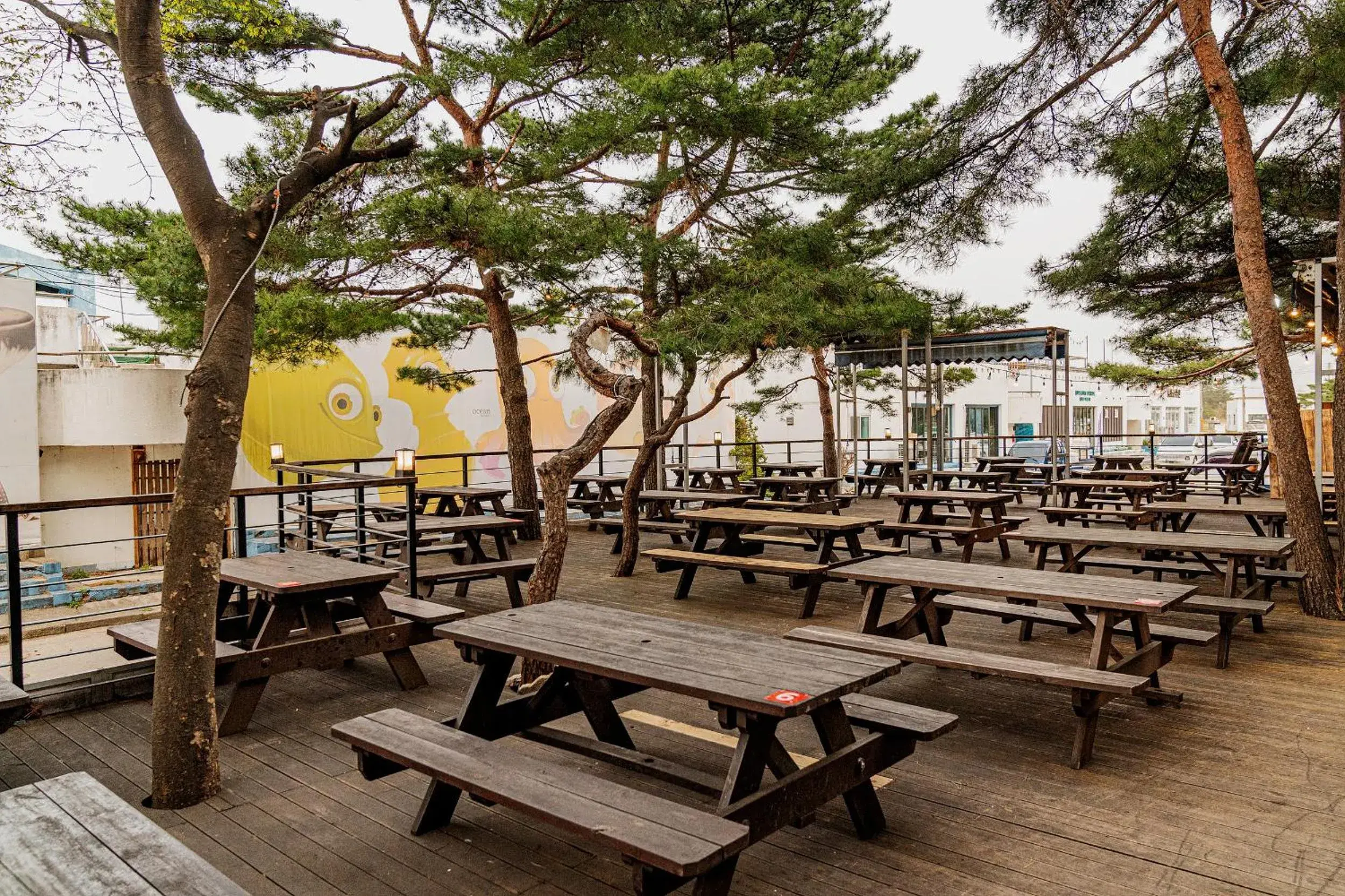 BBQ facilities, Restaurant/Places to Eat in Ocean 2 You Resort Seorak Beach Hotel & Condo BBQ facilities, Restaurant/Places to Eat in Ocean 2 You Resort Seorak Beach Hotel & Condo