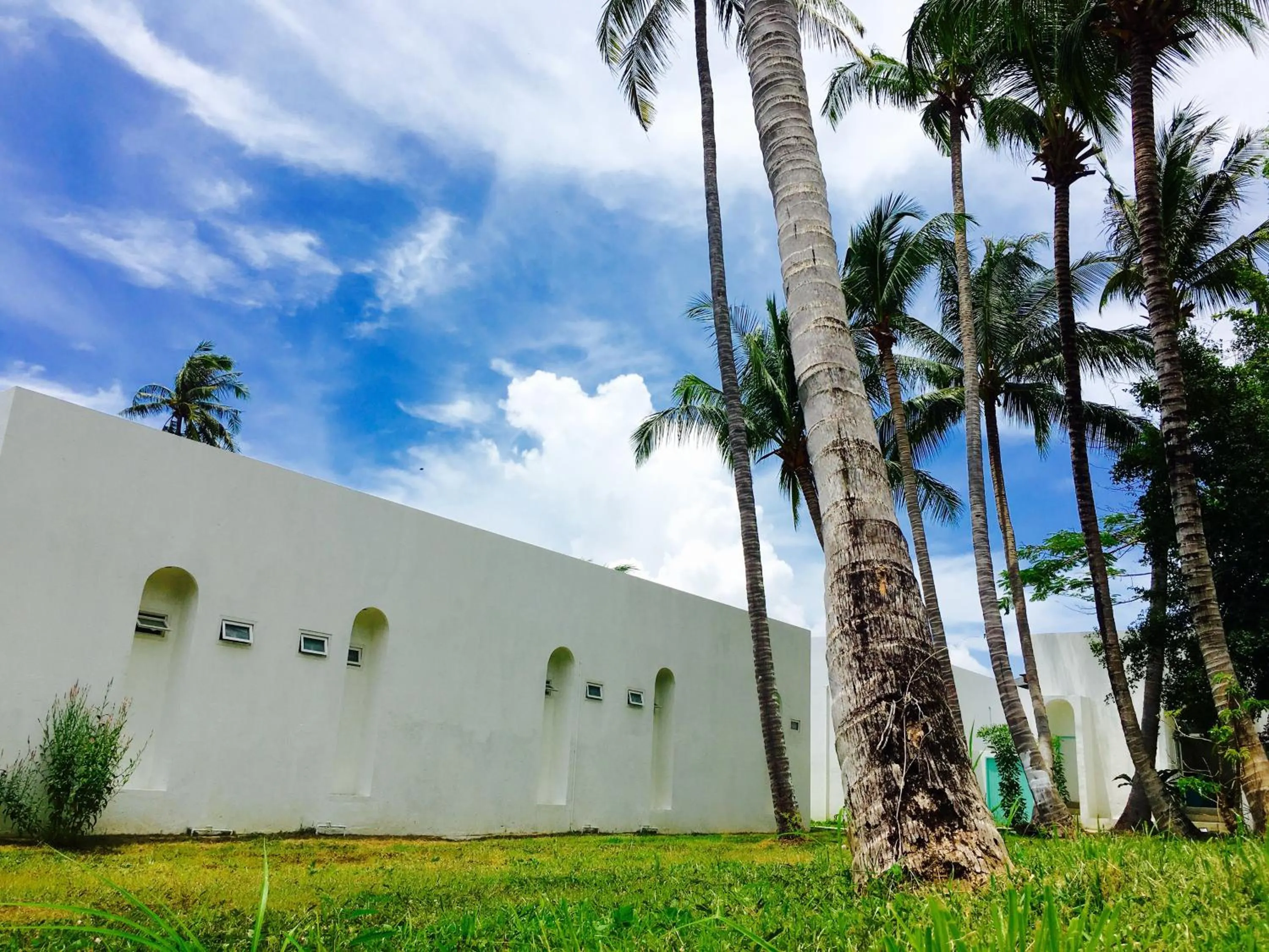 On site in Sense of Yanui