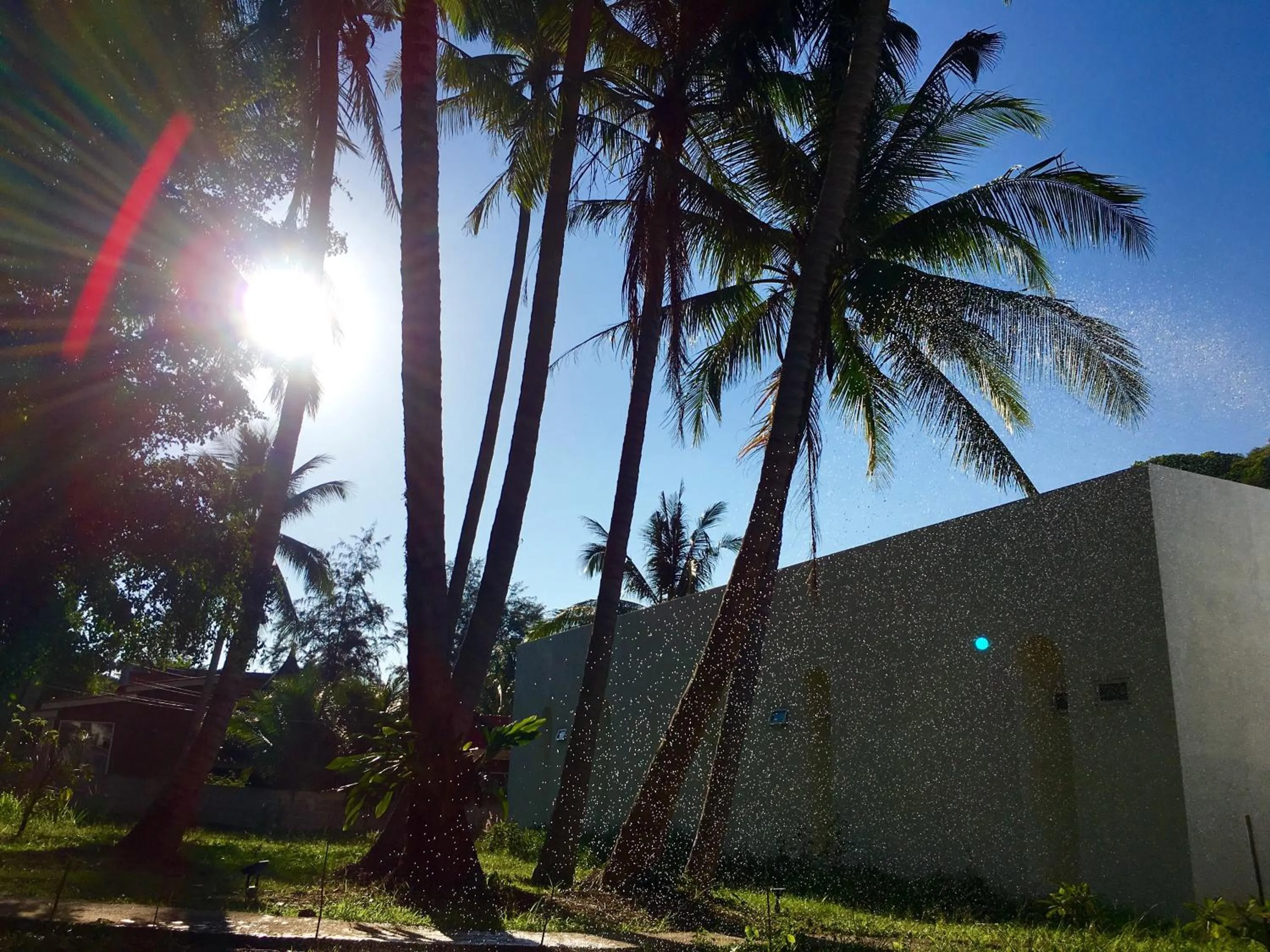 Day in Sense of Yanui