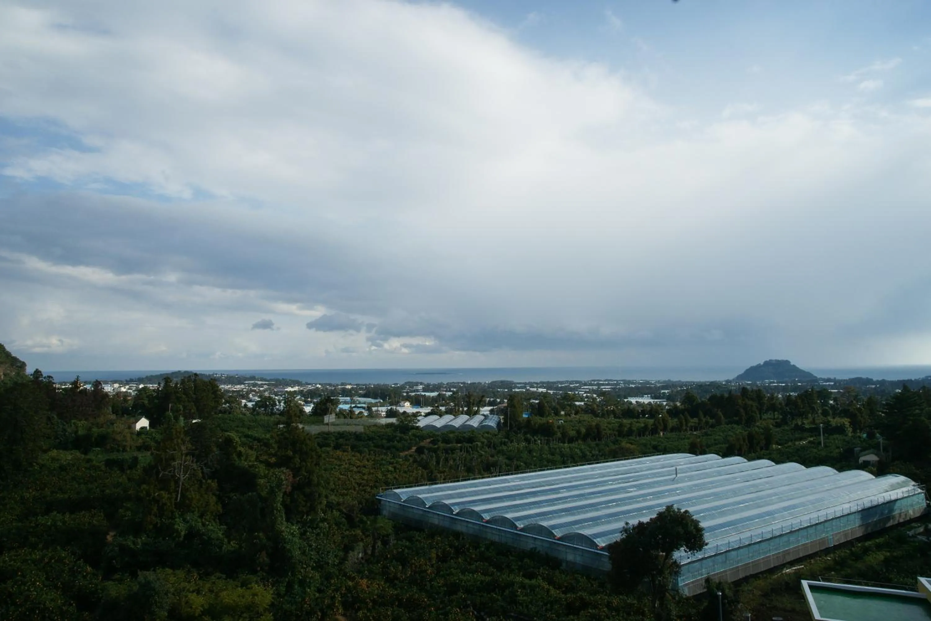 View (from property/room) in Oasis Pension