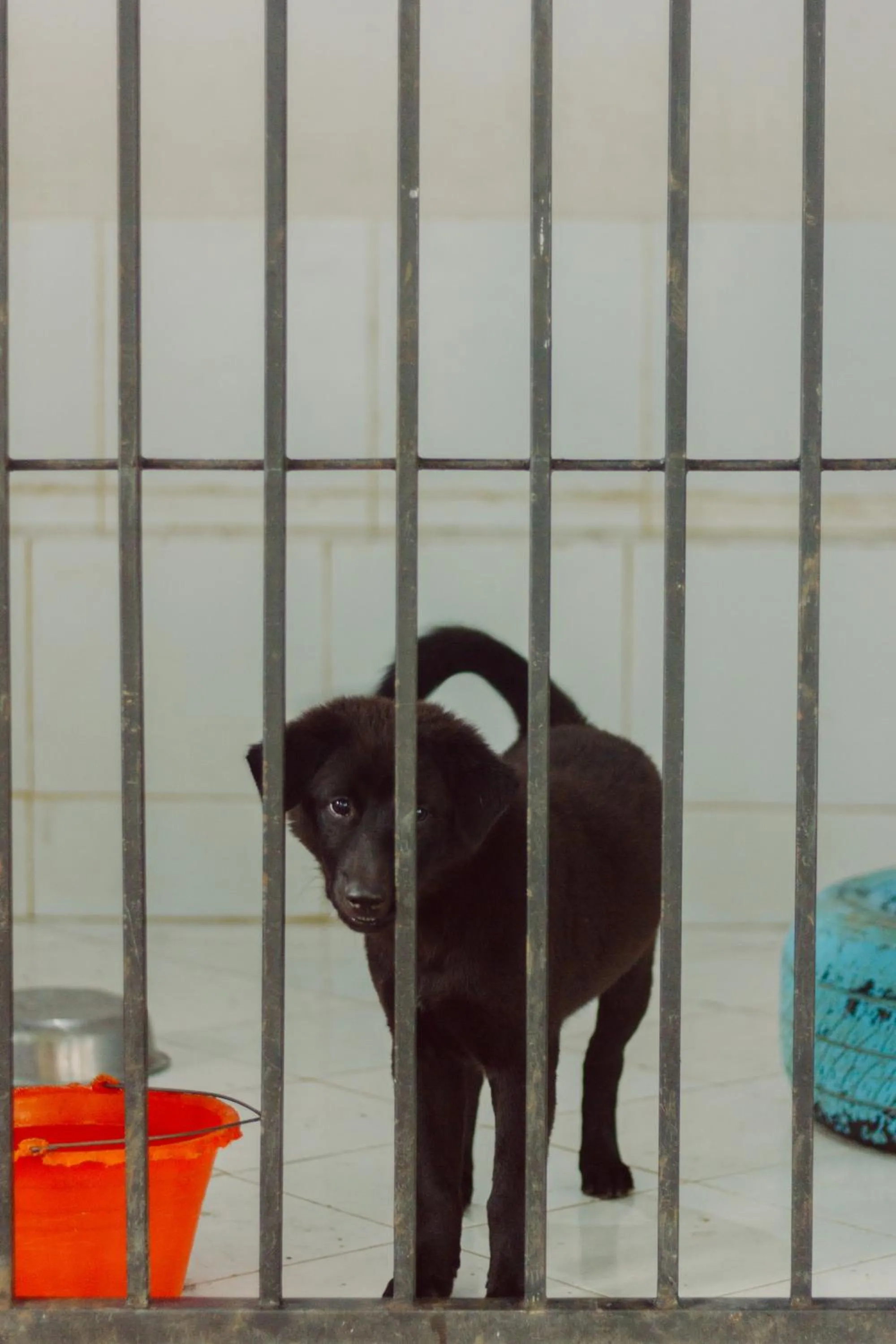 Children play ground in Urbanest Inn House TB Simatupang