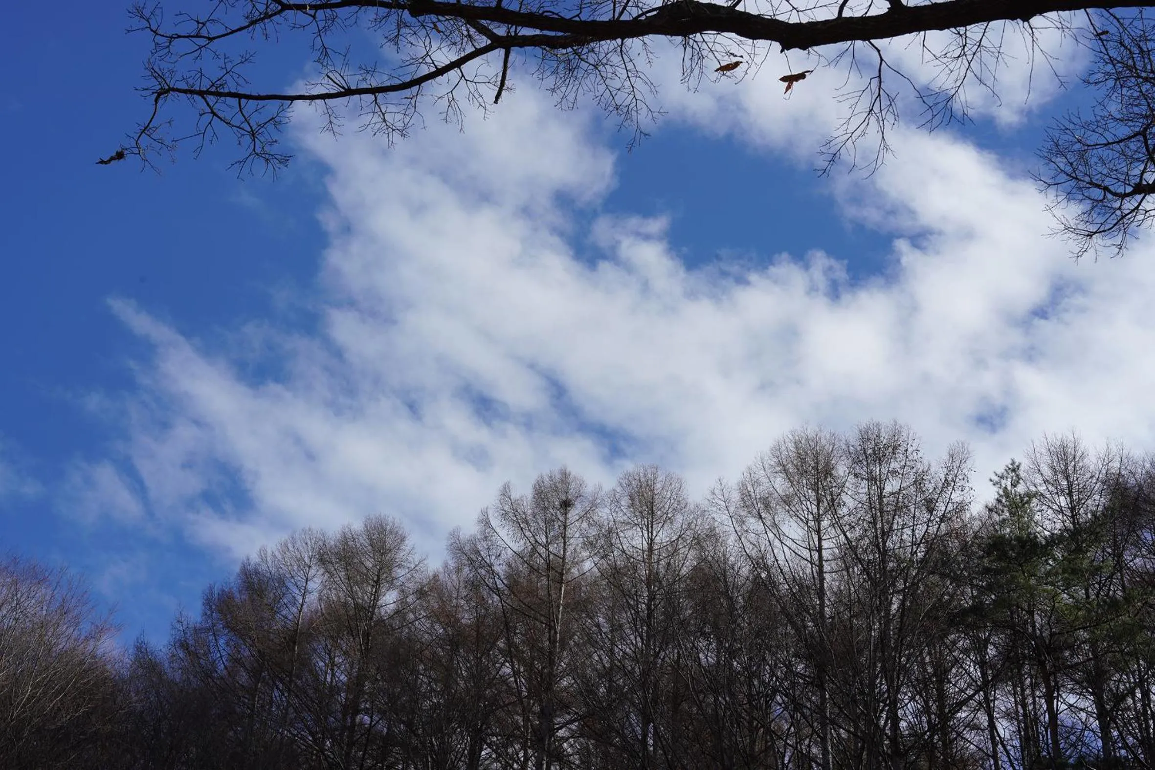 Natural landscape in Hutte Lied