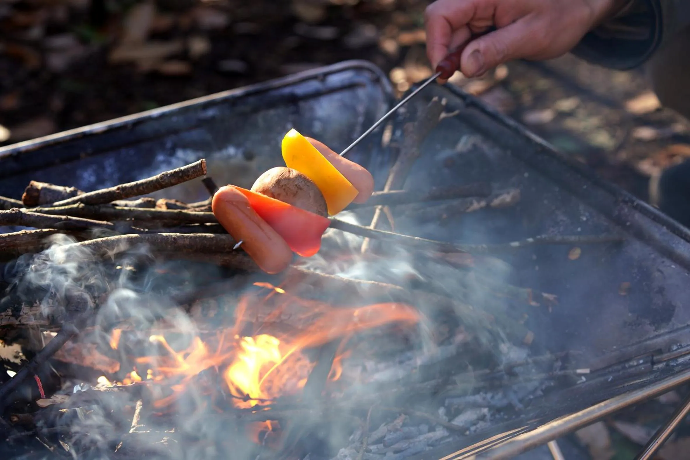 BBQ facilities in Hutte Lied