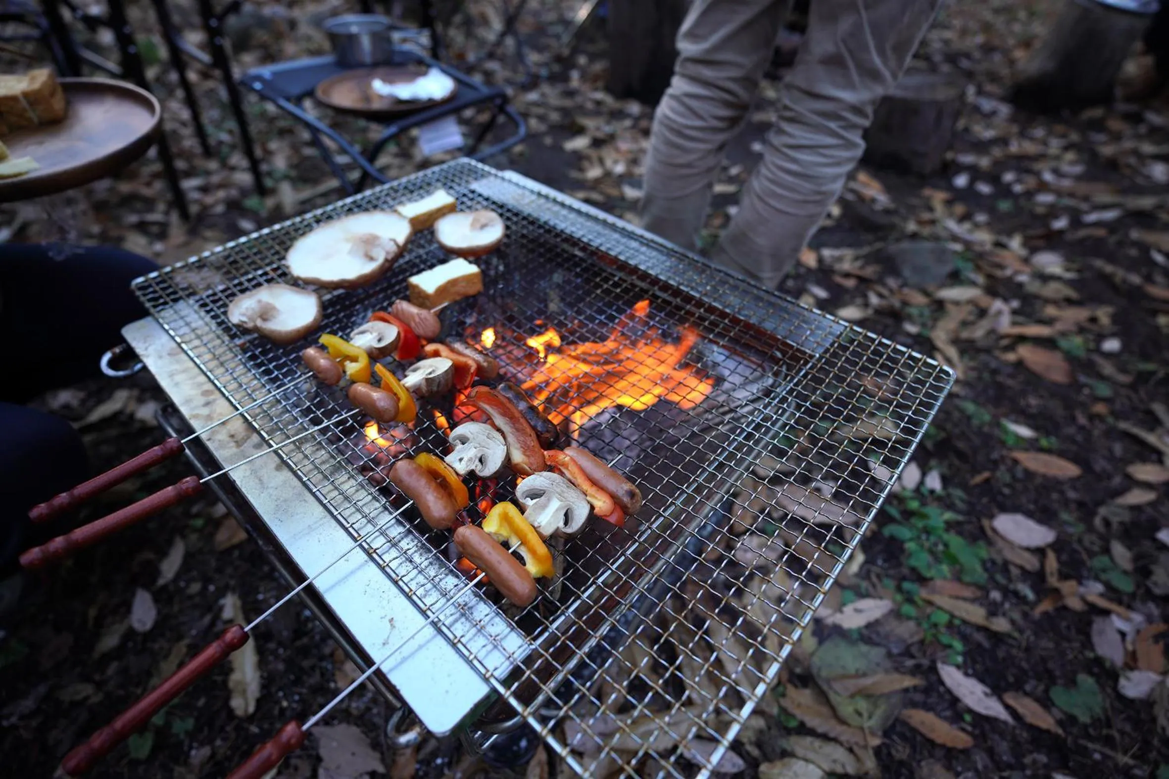 BBQ facilities in Hutte Lied