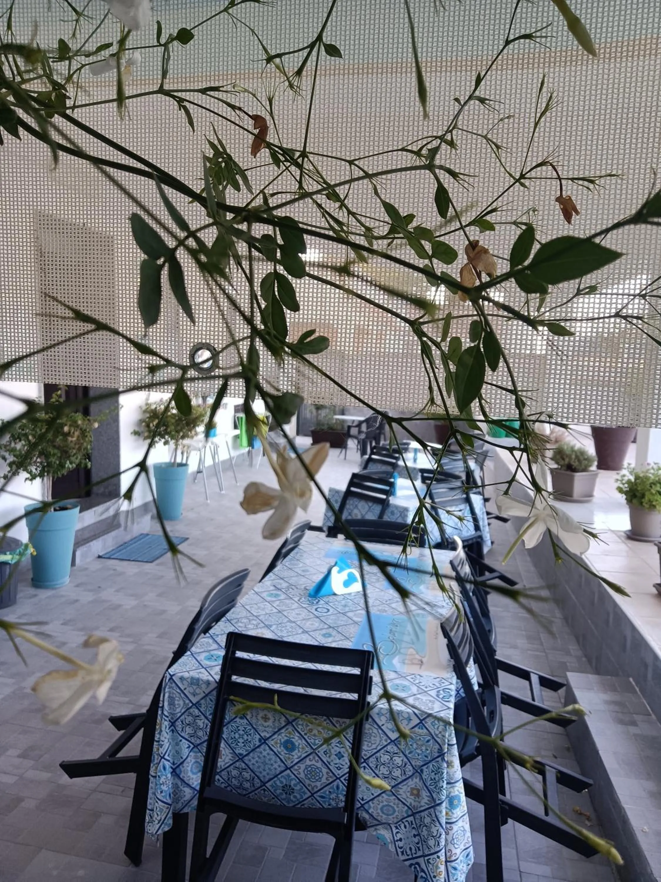 B&B Solarium