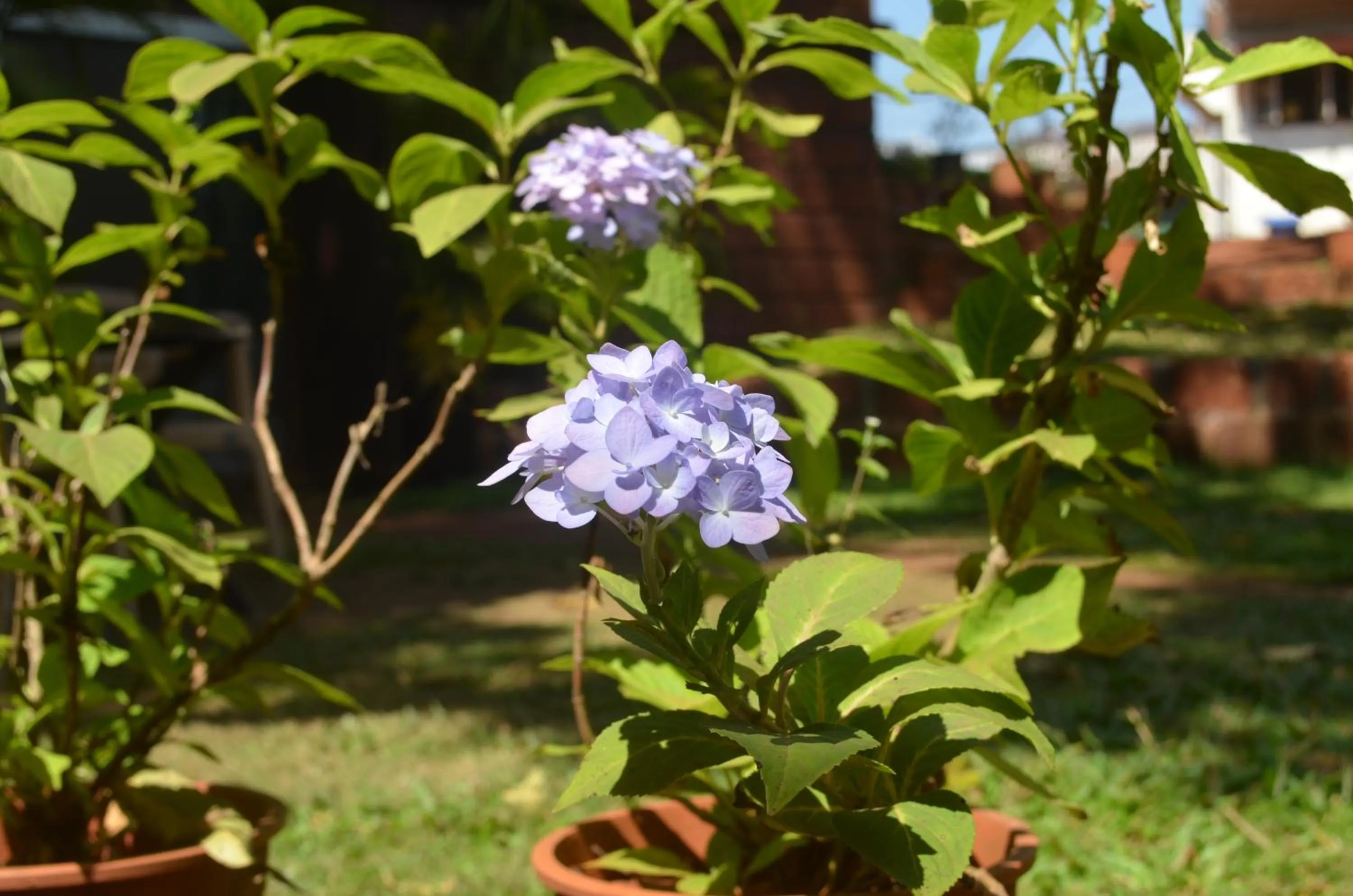 Kaular Atithis Grand Kokan Resort