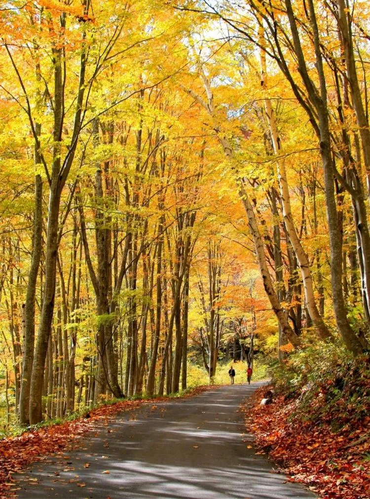 Natural landscape in Shinano Sou