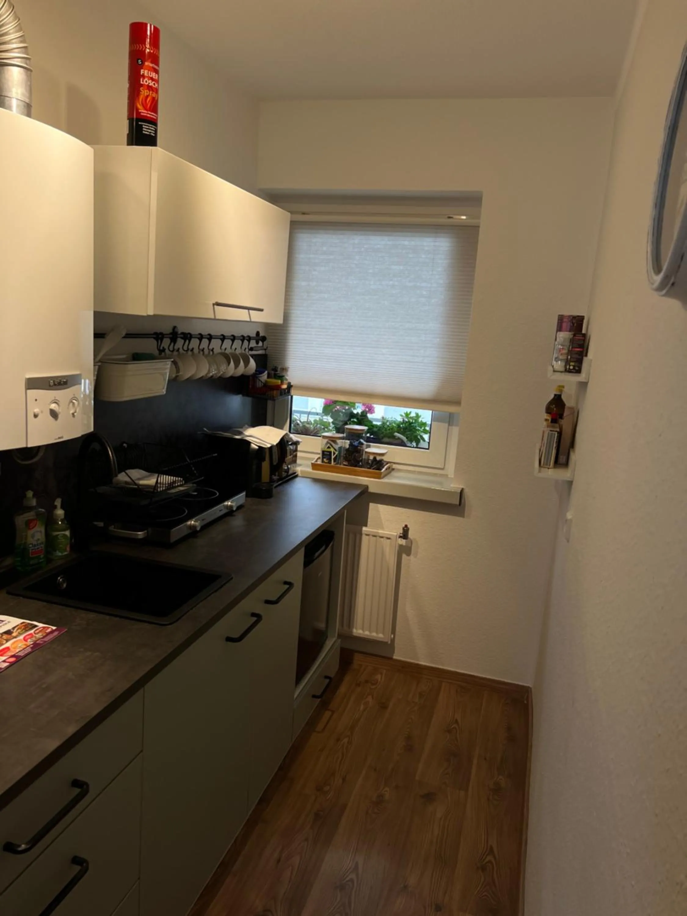 Kitchen or kitchenette in Altstadt Apartment Bautzen