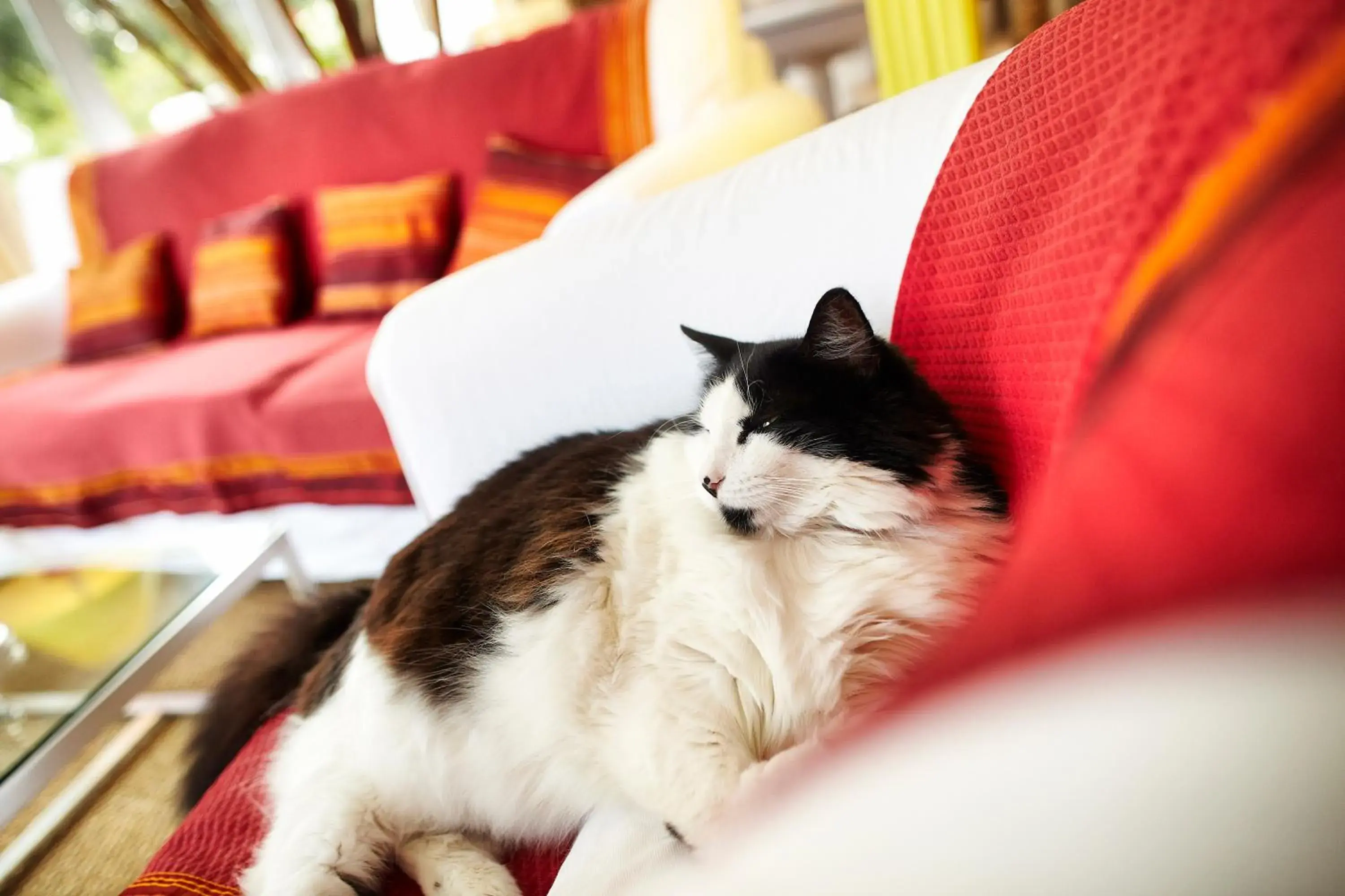 Lounge or bar in Carnac Lodge Hotel & Spa Lounge or bar in Carnac Lodge Hotel & Spa