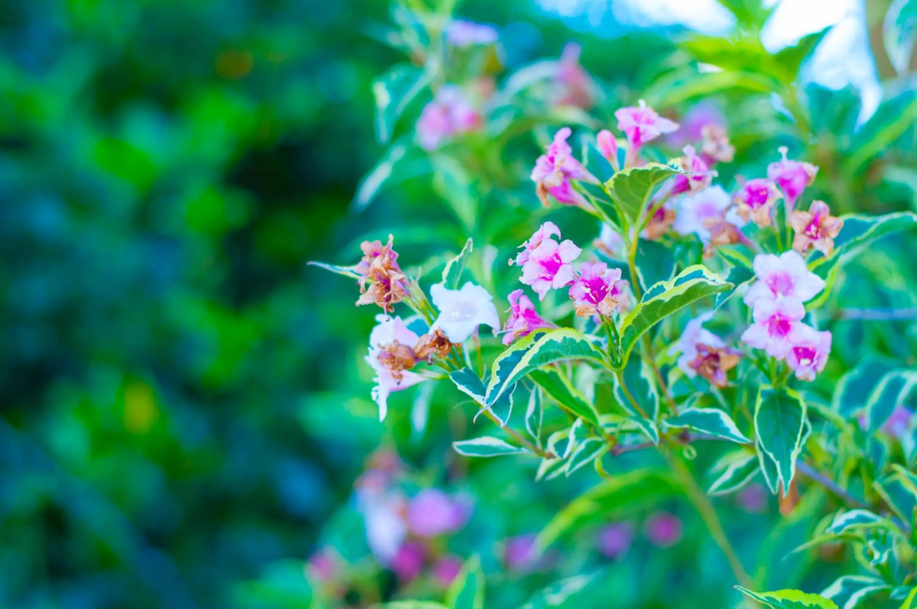 Natural landscape in Stableside Hostel at York Racecourse