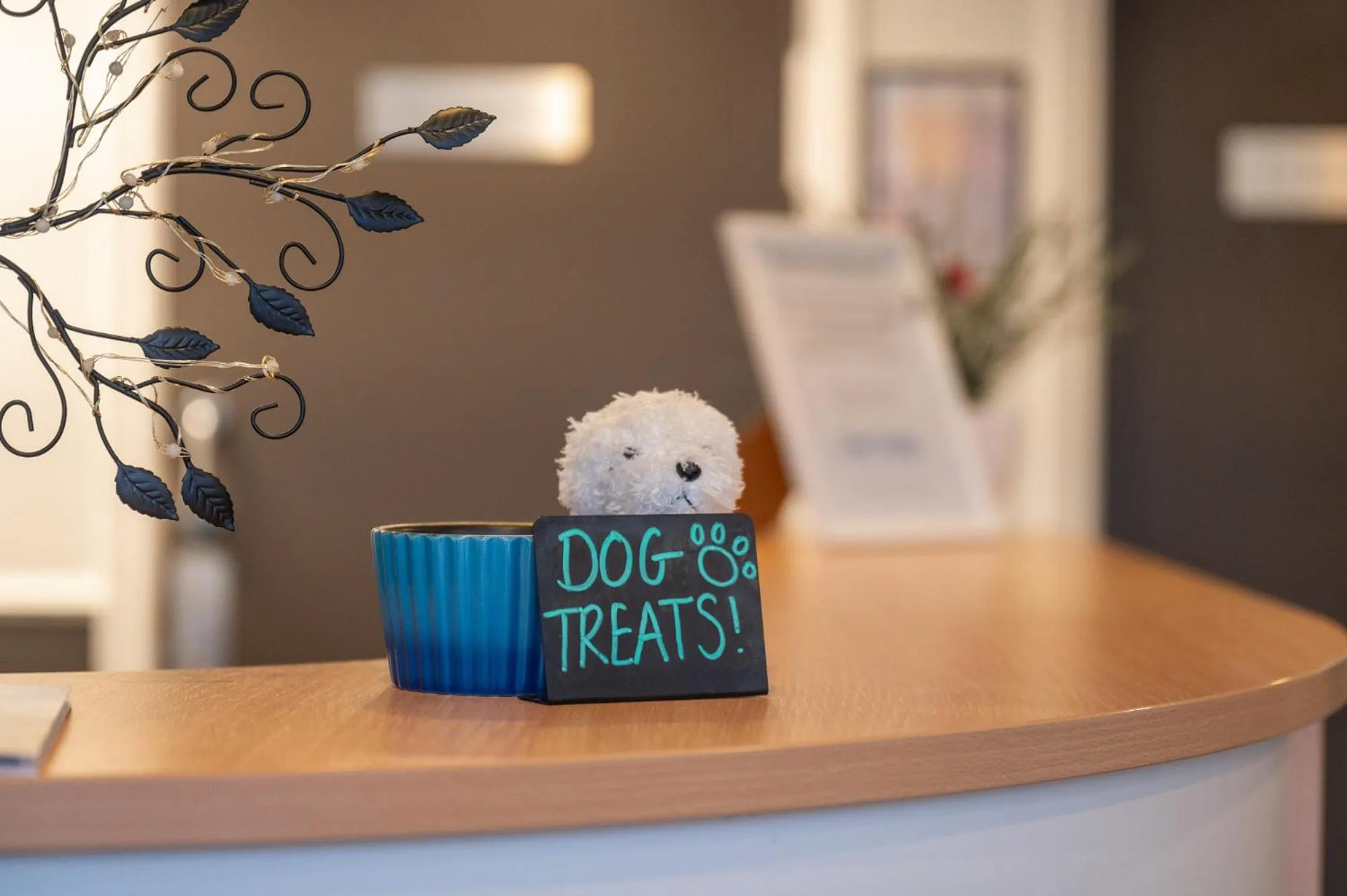 Pets in Stableside Hostel at York Racecourse