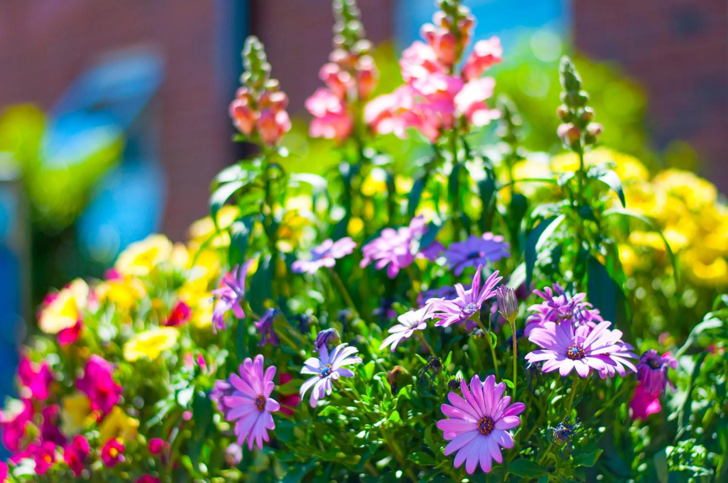 Garden in Stableside Hostel at York Racecourse