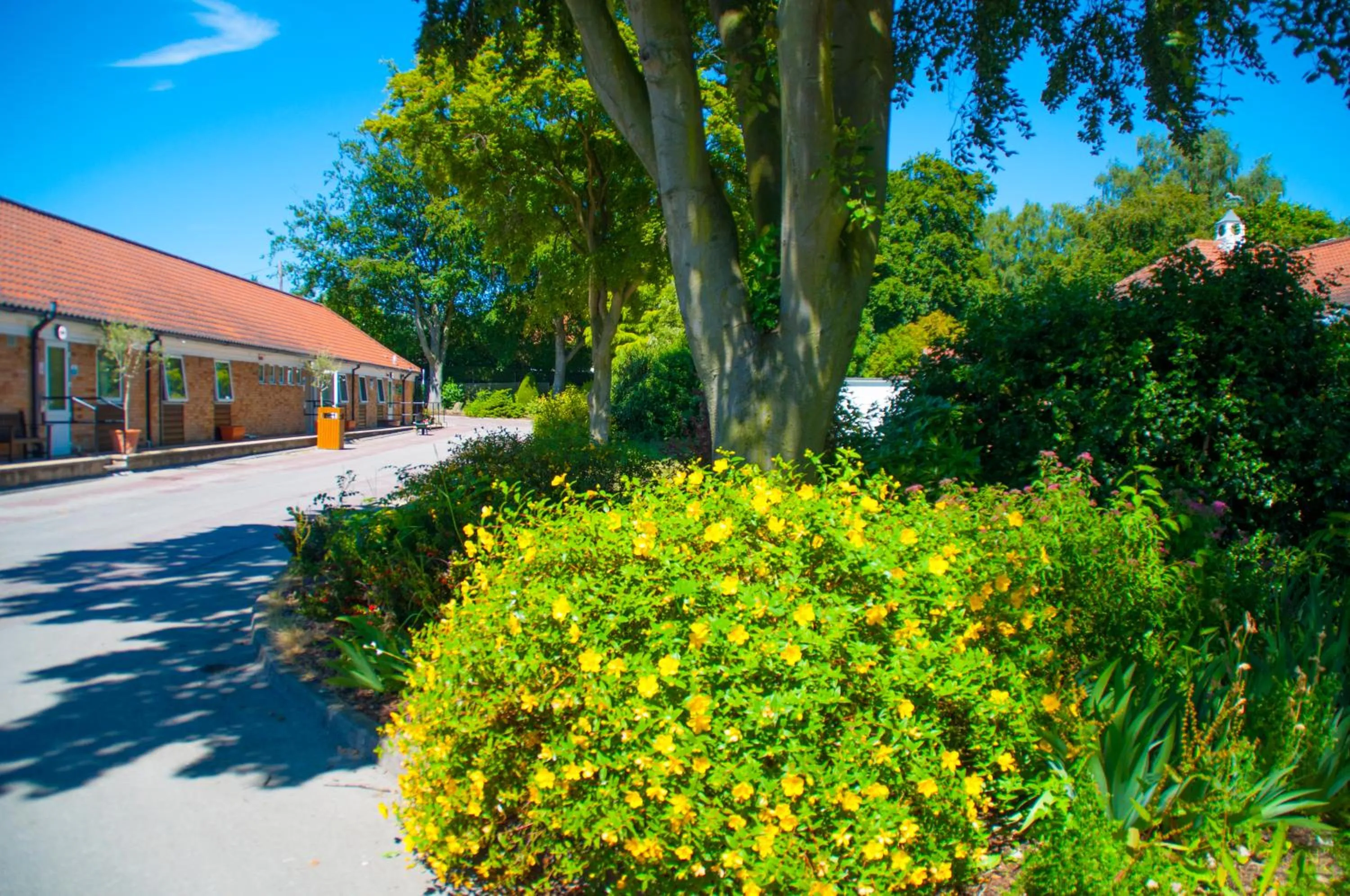 Garden in Stableside Hostel at York Racecourse