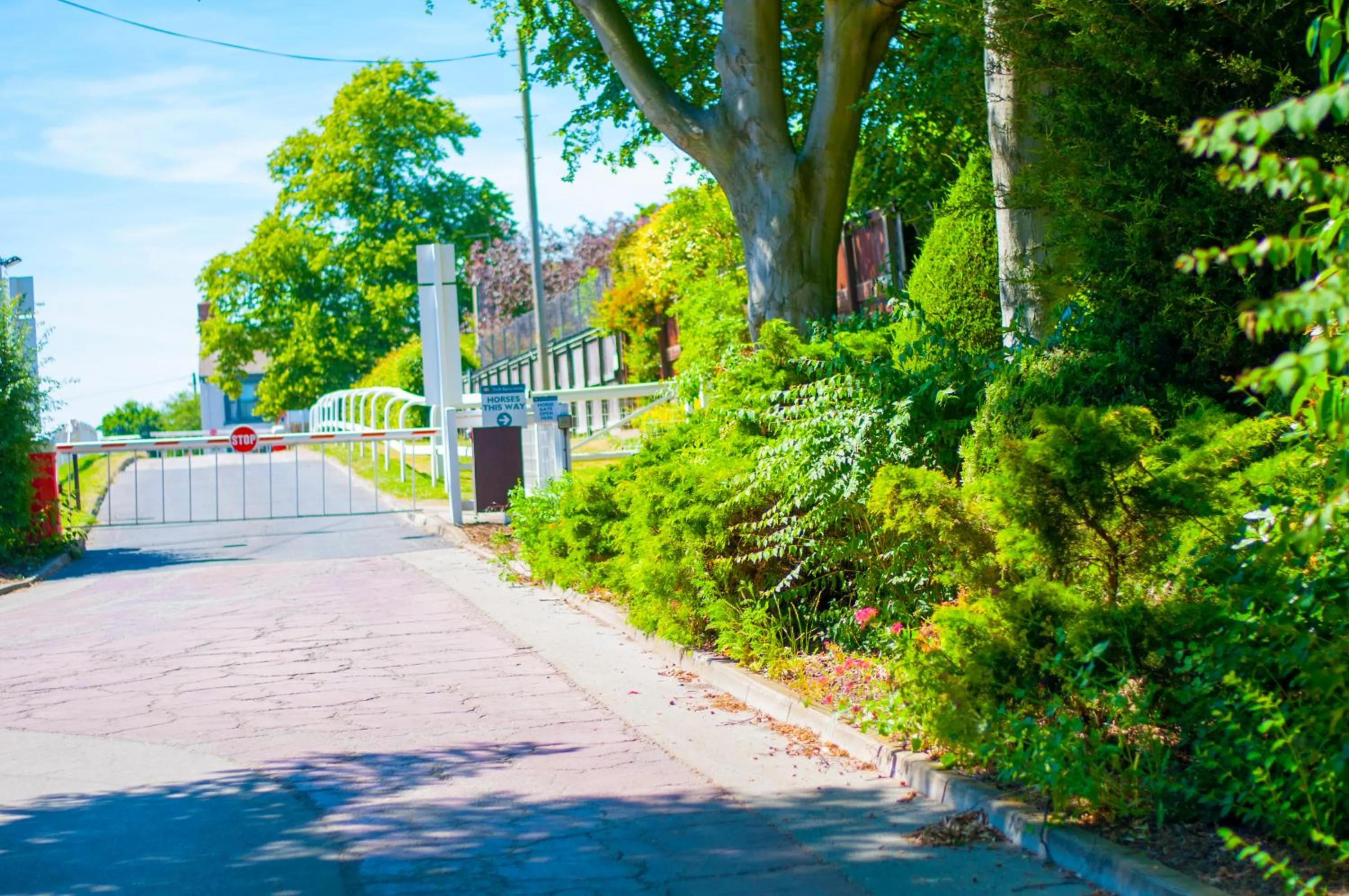 Facade/entrance in Stableside Hostel at York Racecourse