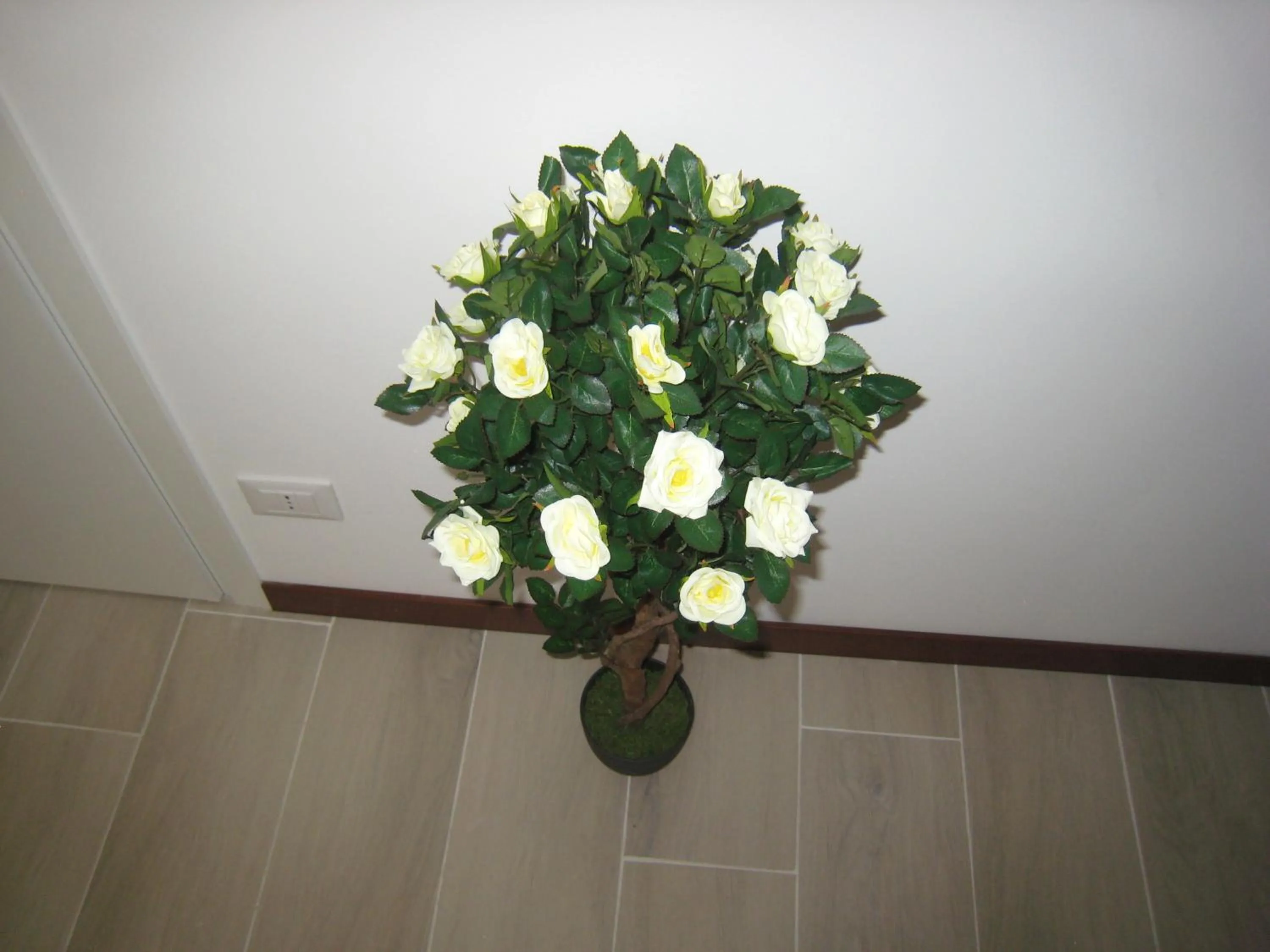 Facade/entrance in Le Maschere