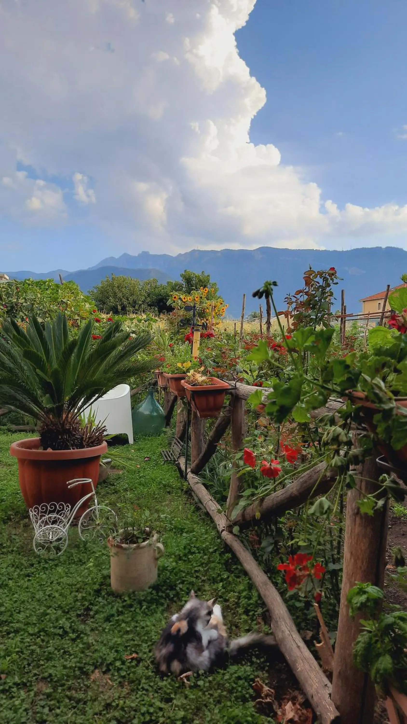 Balcony/Terrace in Buonocore Rooms