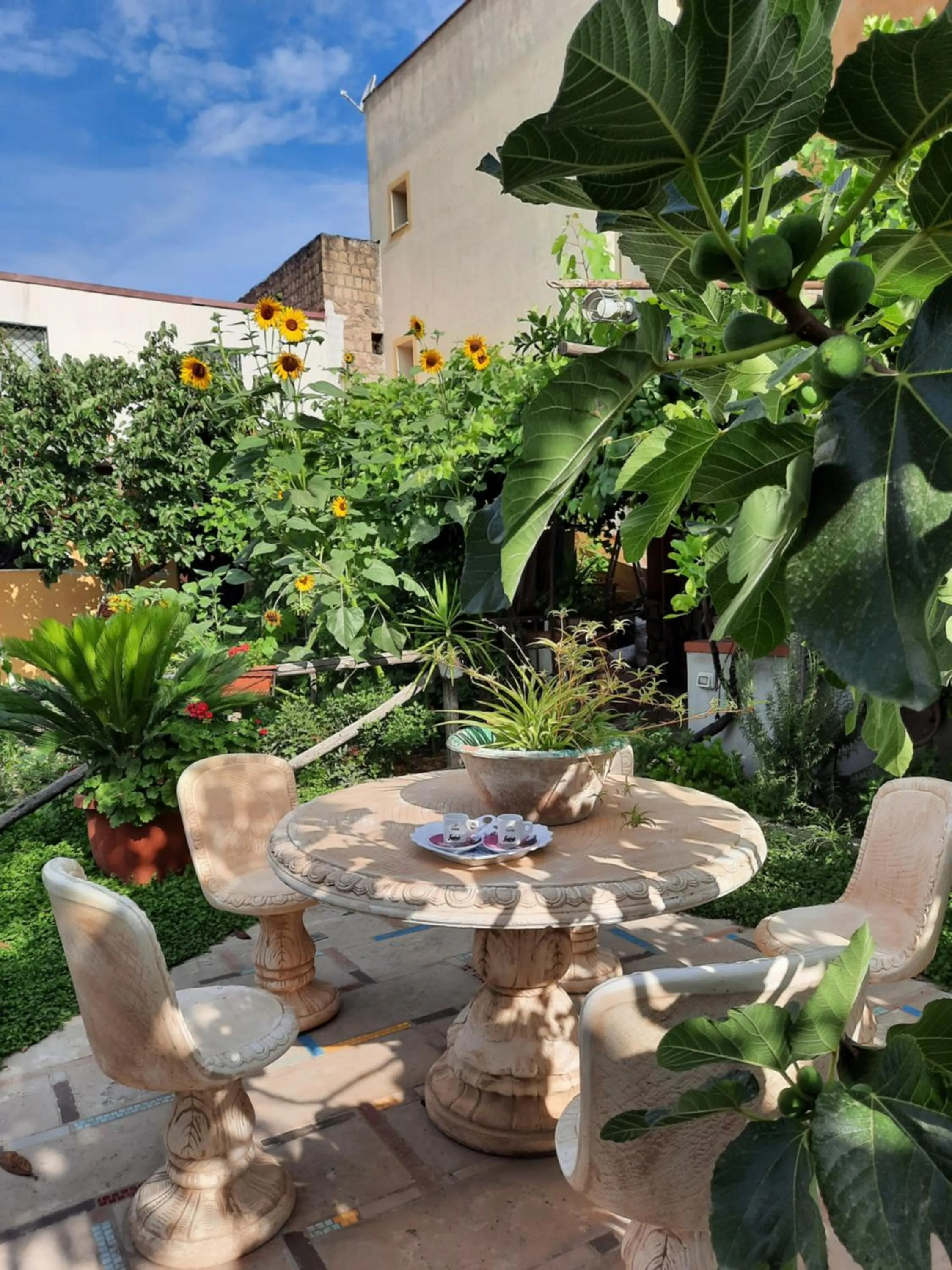 Garden in Buonocore Rooms