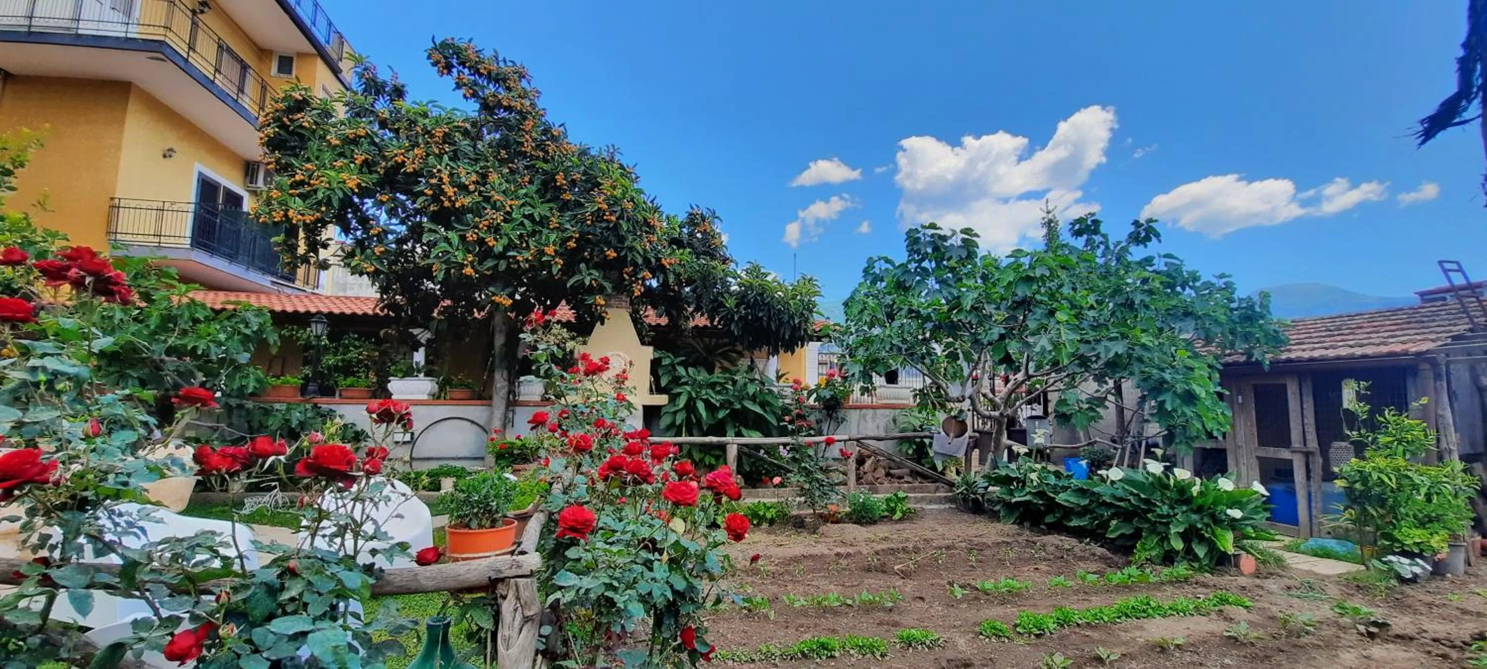 Property building in Buonocore Rooms